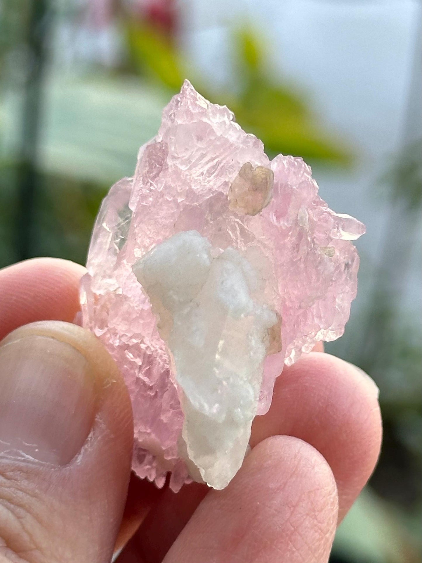 Crystallized Rose Quartz from Brazil