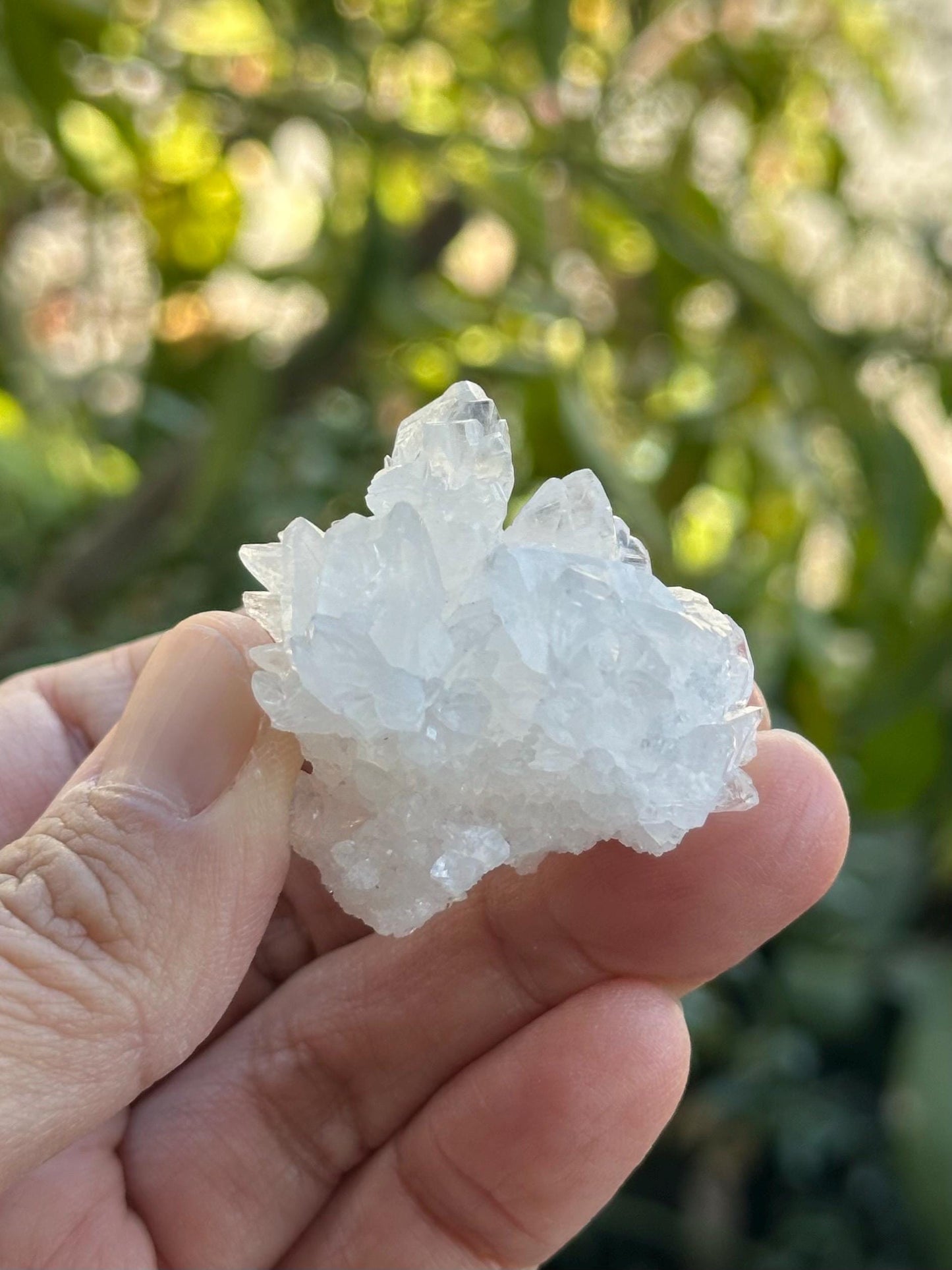 Quartz Cluster from Brazil