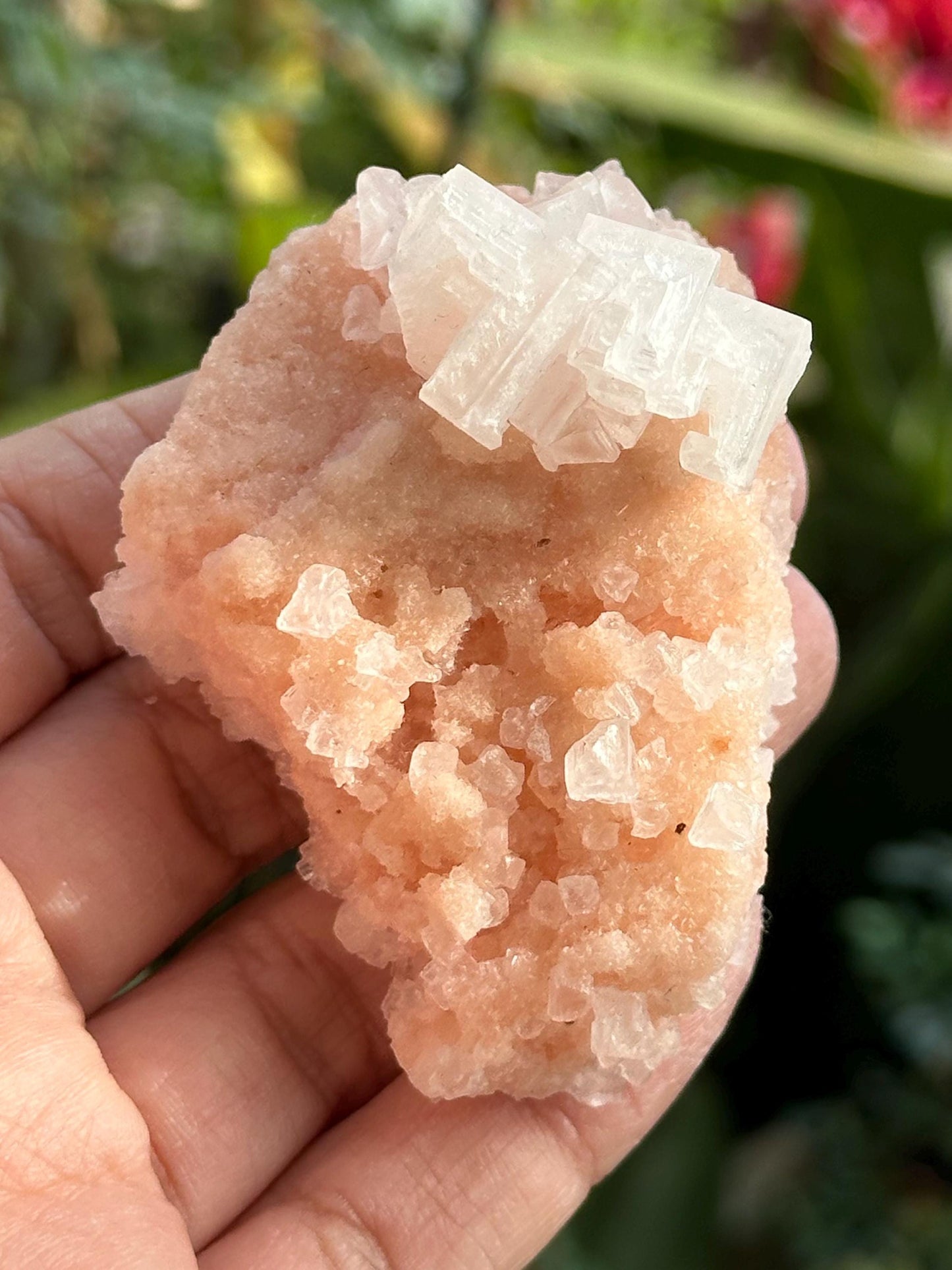 Light Pink Halite on Trona