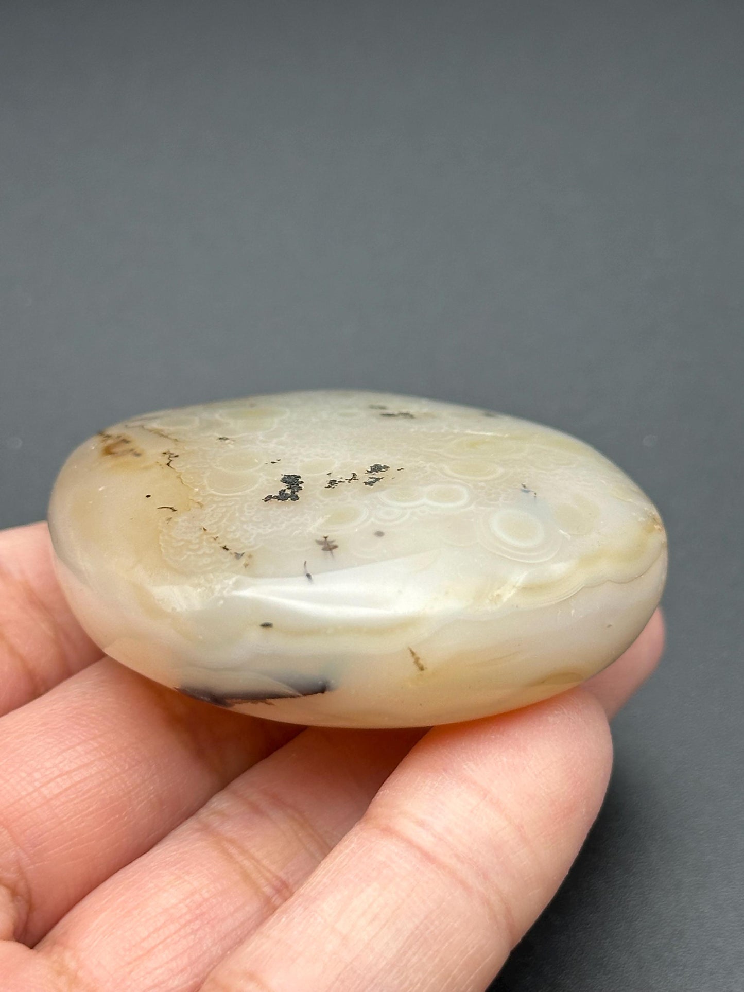 Dendritic Agate Palm Stone
