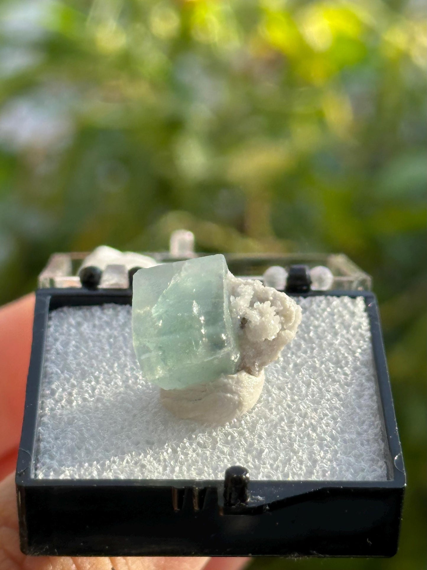 Fluorite with Quartz from the Yaogangxian Mine