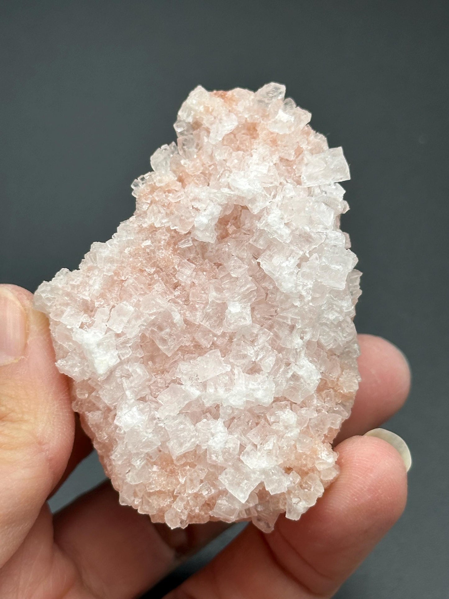 Light Pink Halite on Trona