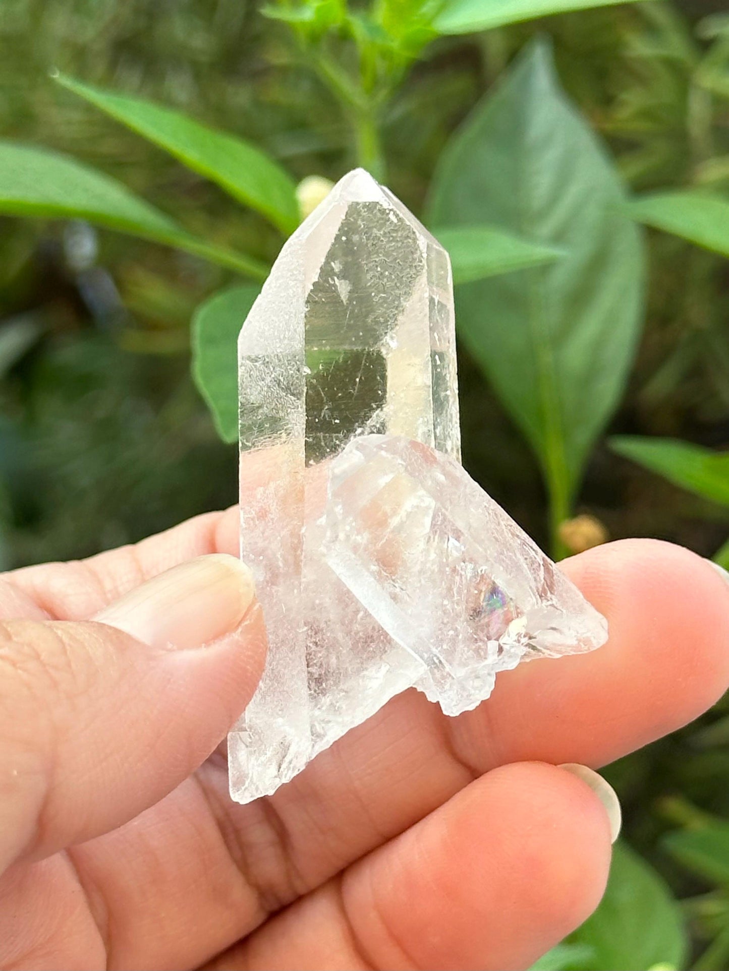 Small Clear Quartz Cluster
