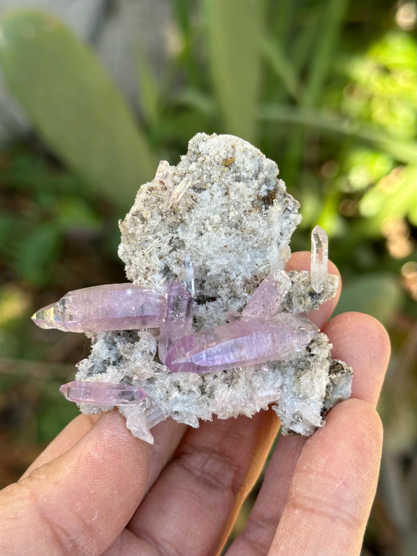 Veracruz Amethyst Crystals on Matrix