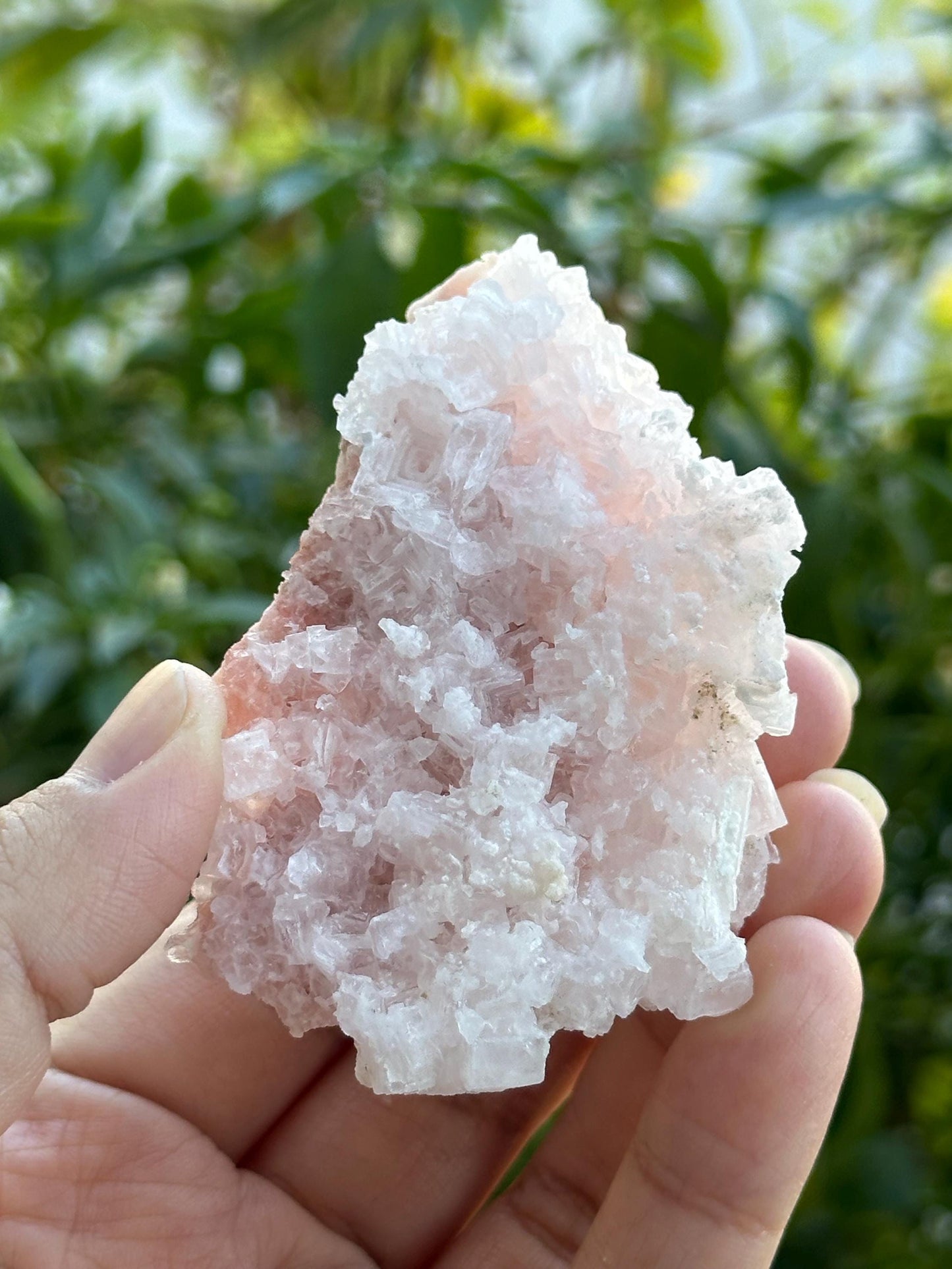 Light Pink Halite on Trona