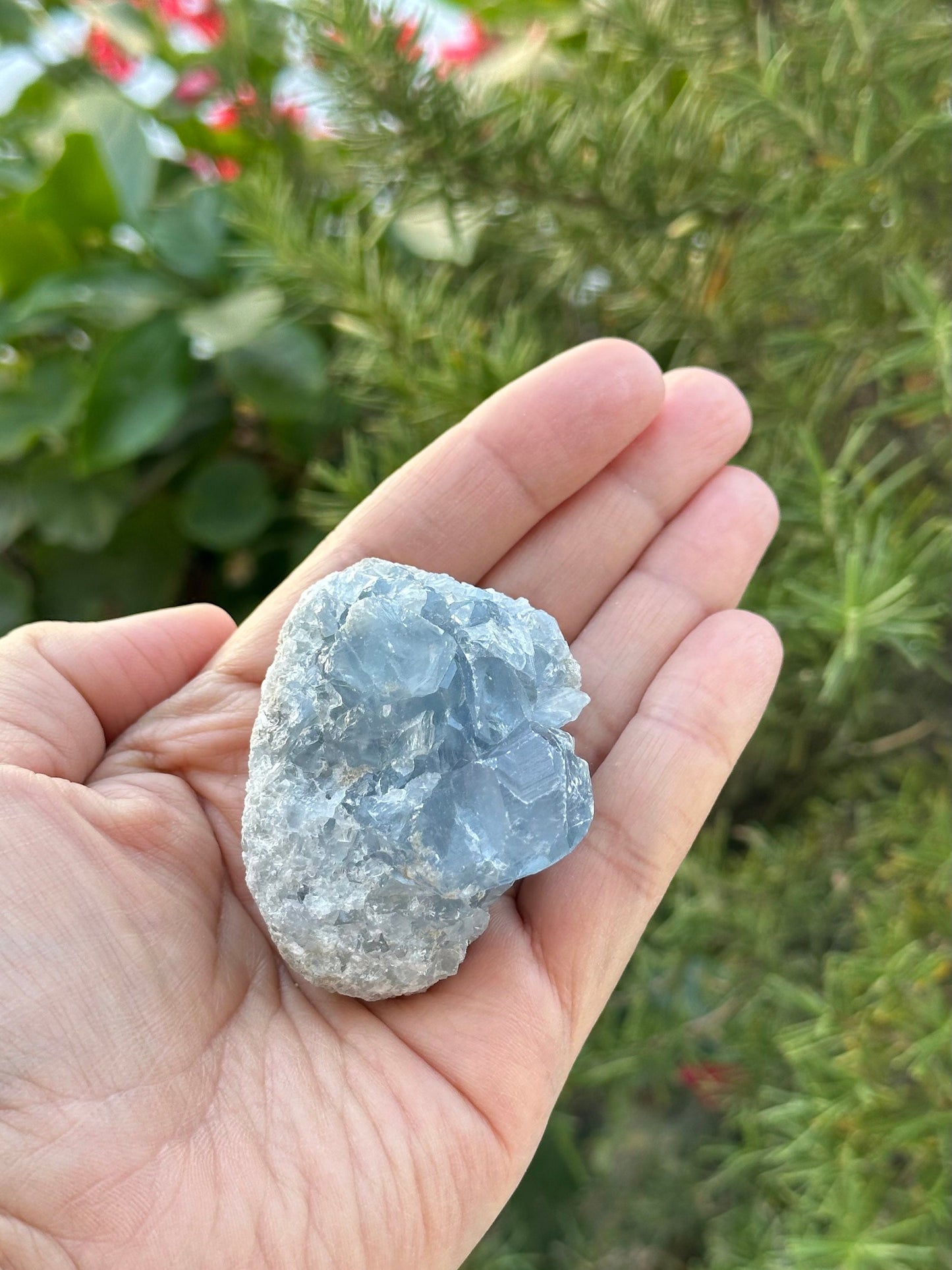 Celestite Cluster from Madagascar
