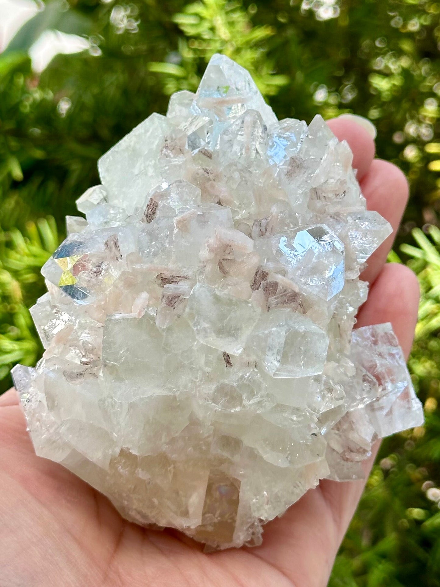 Apophyllite Specimen
