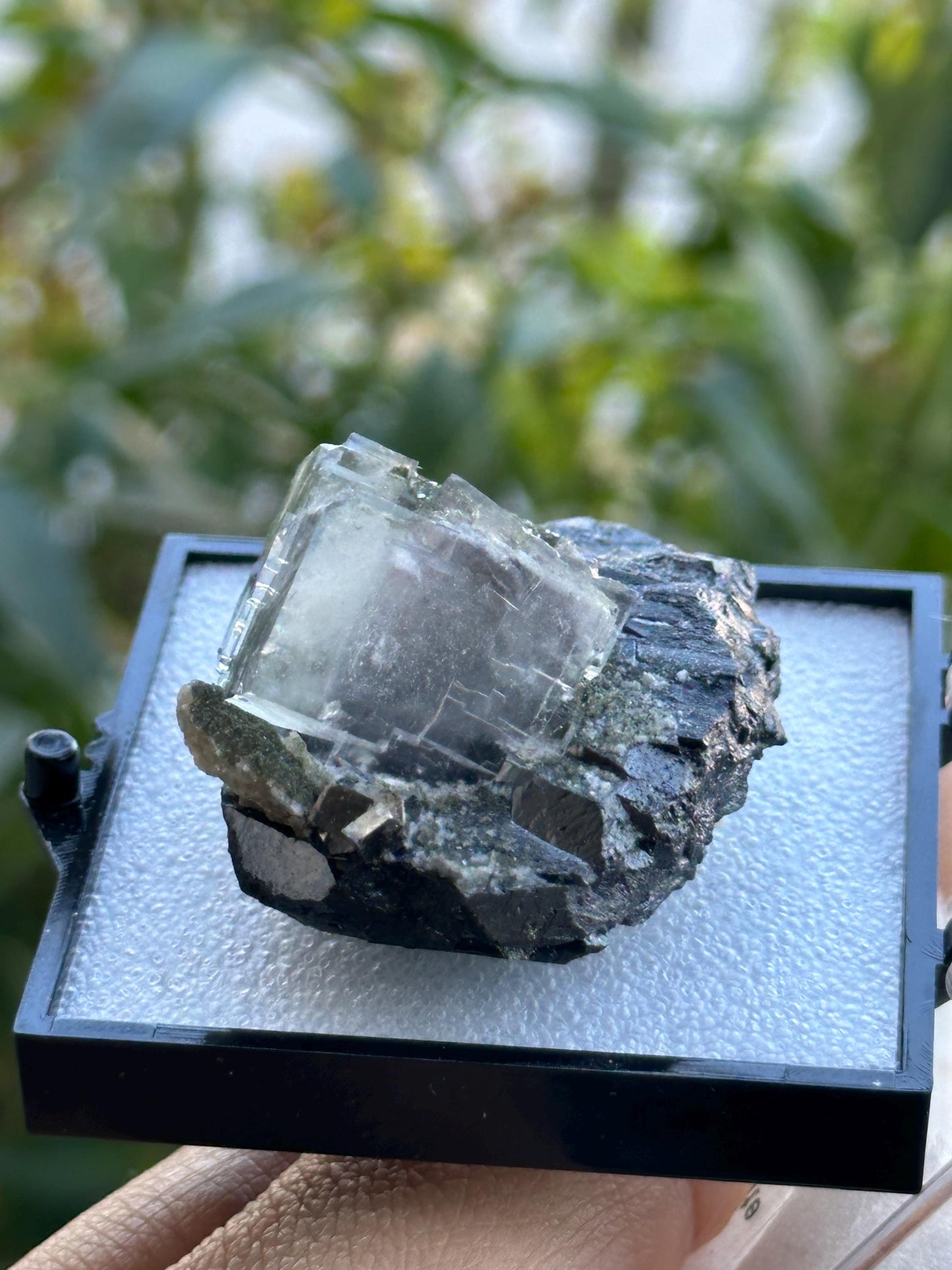 Wolframite Fluorite from the Yaogangxian Mine