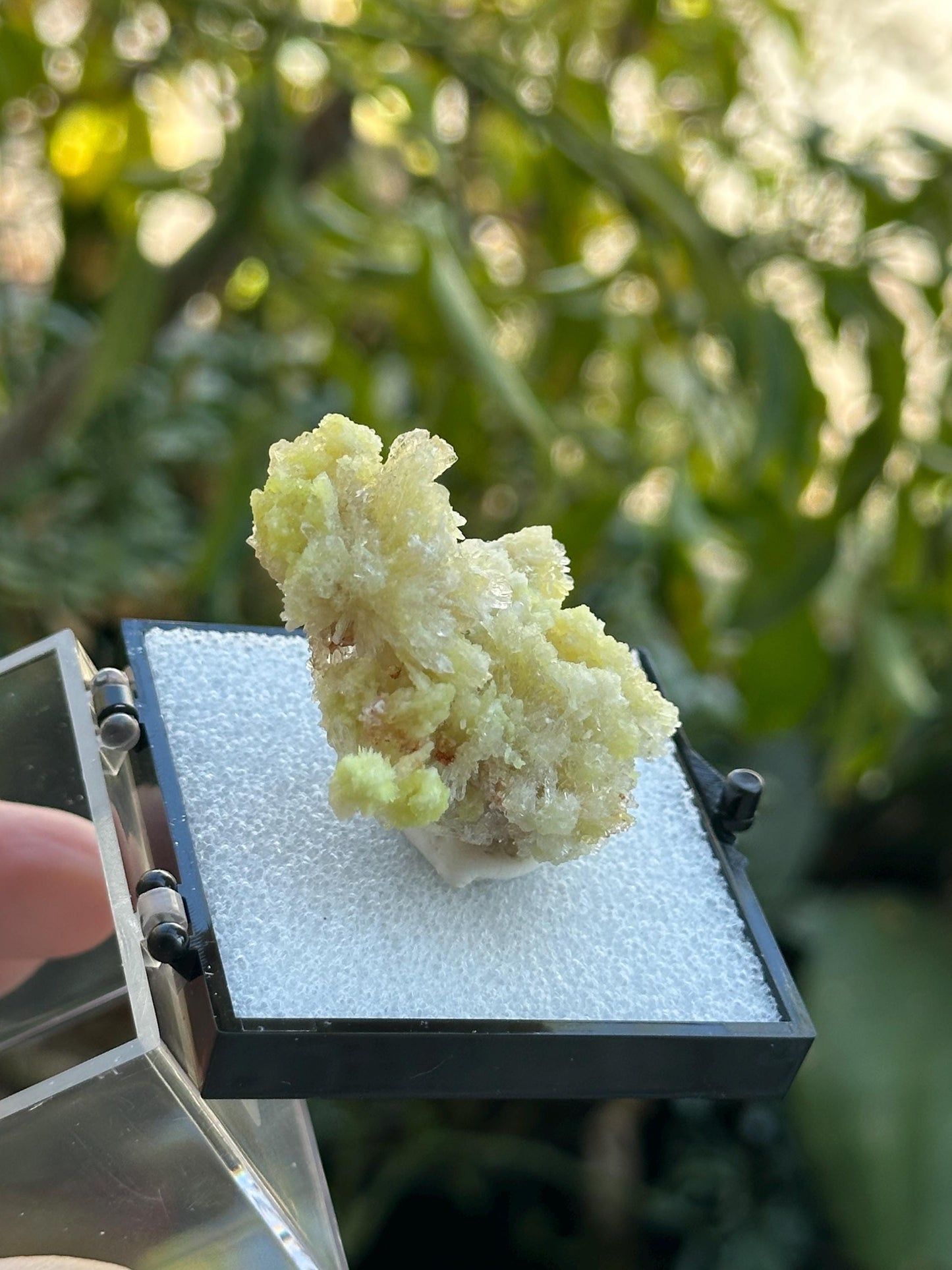 Creedite with Selenite in a perky box from Guizhou, Dachang, China