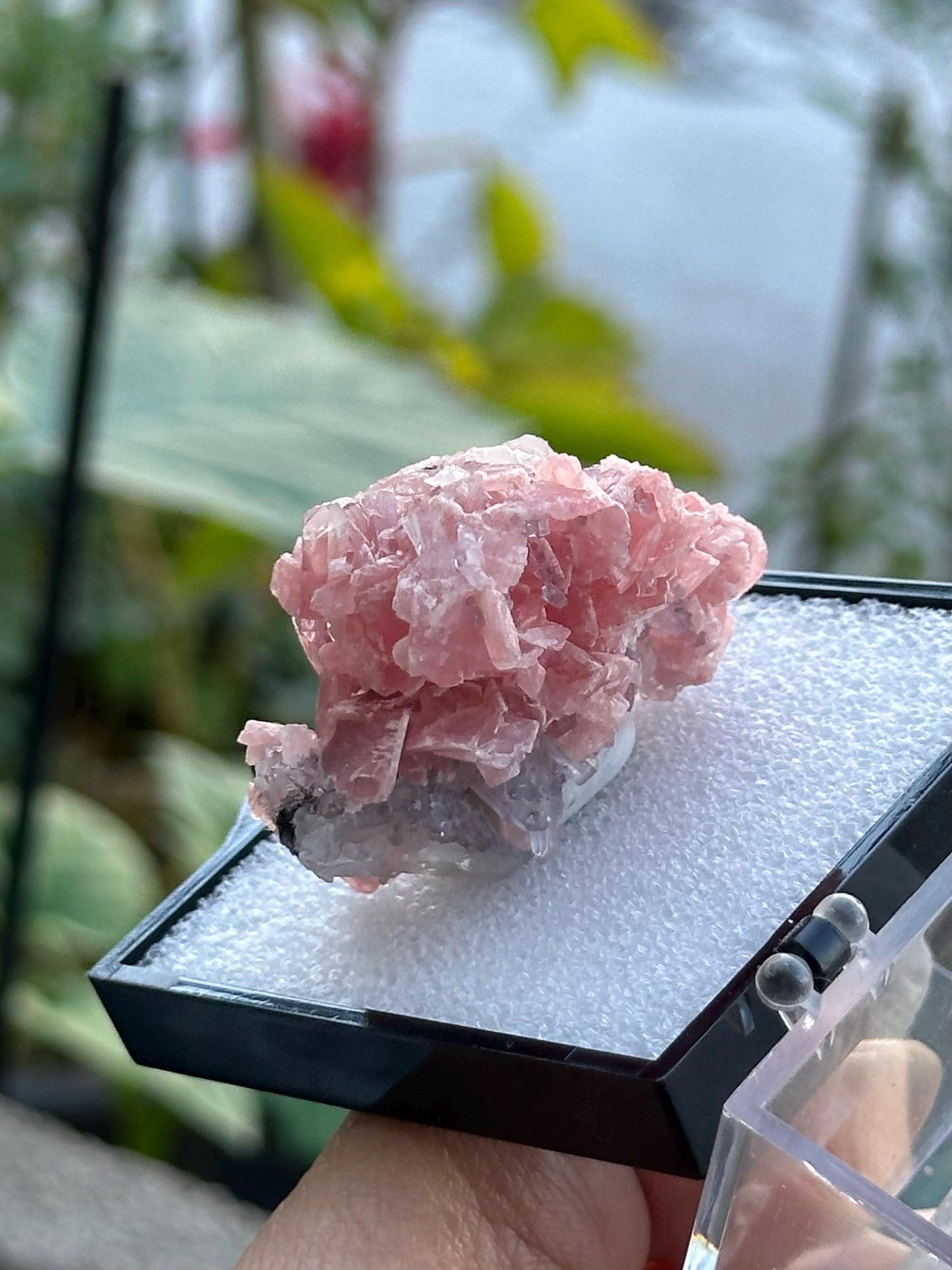 Rhodochrosite with Quartz Specimen