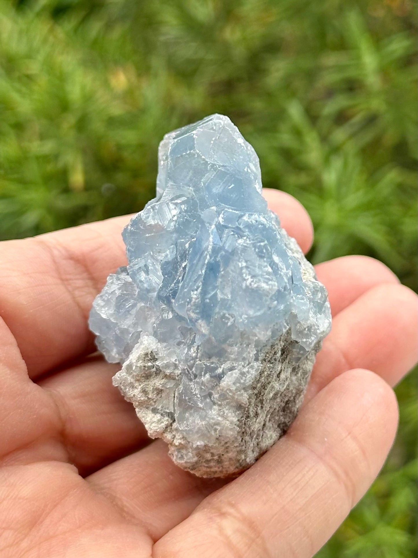 Celestite Cluster