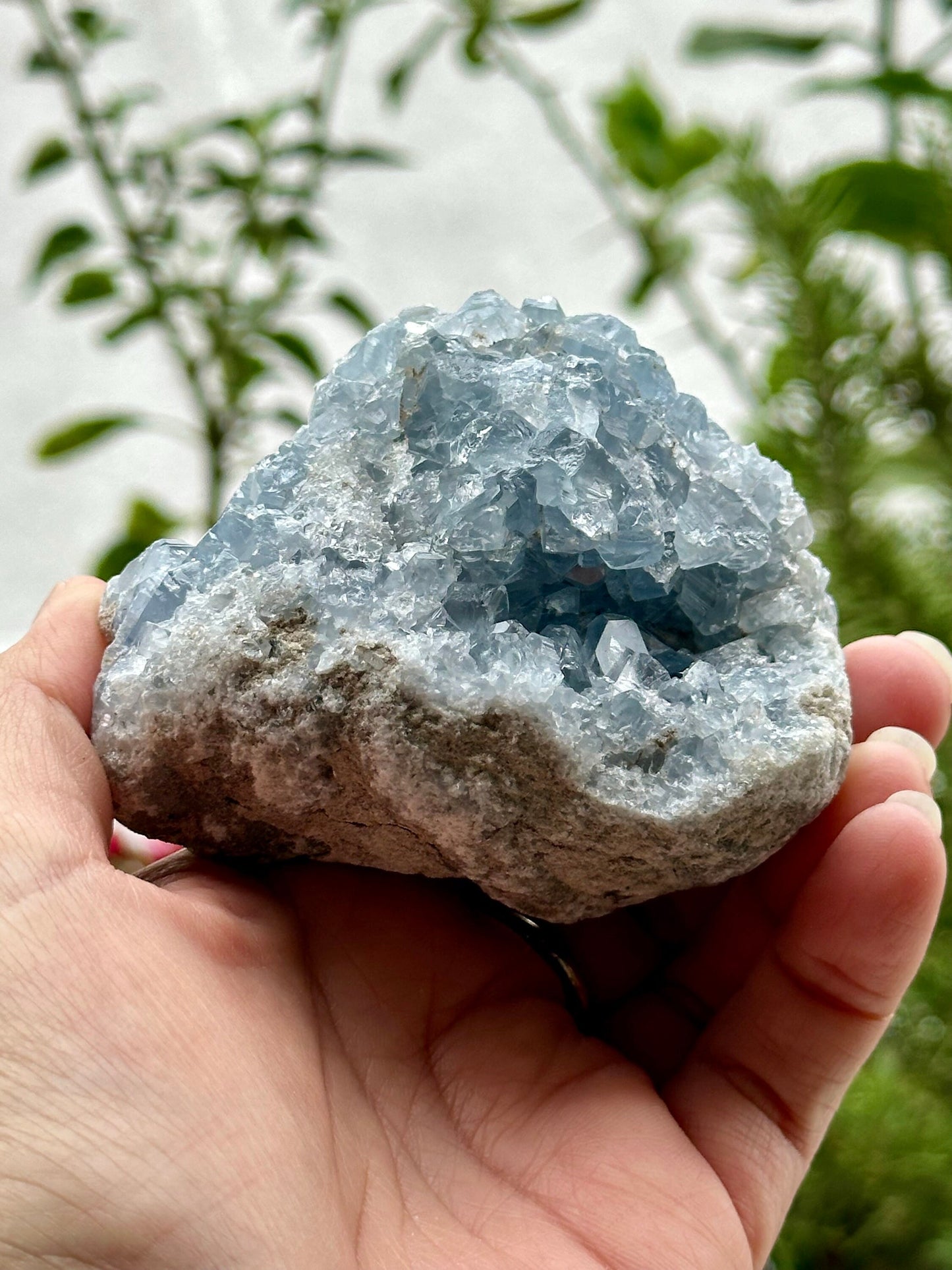 Celestite Cluster from Madagascar