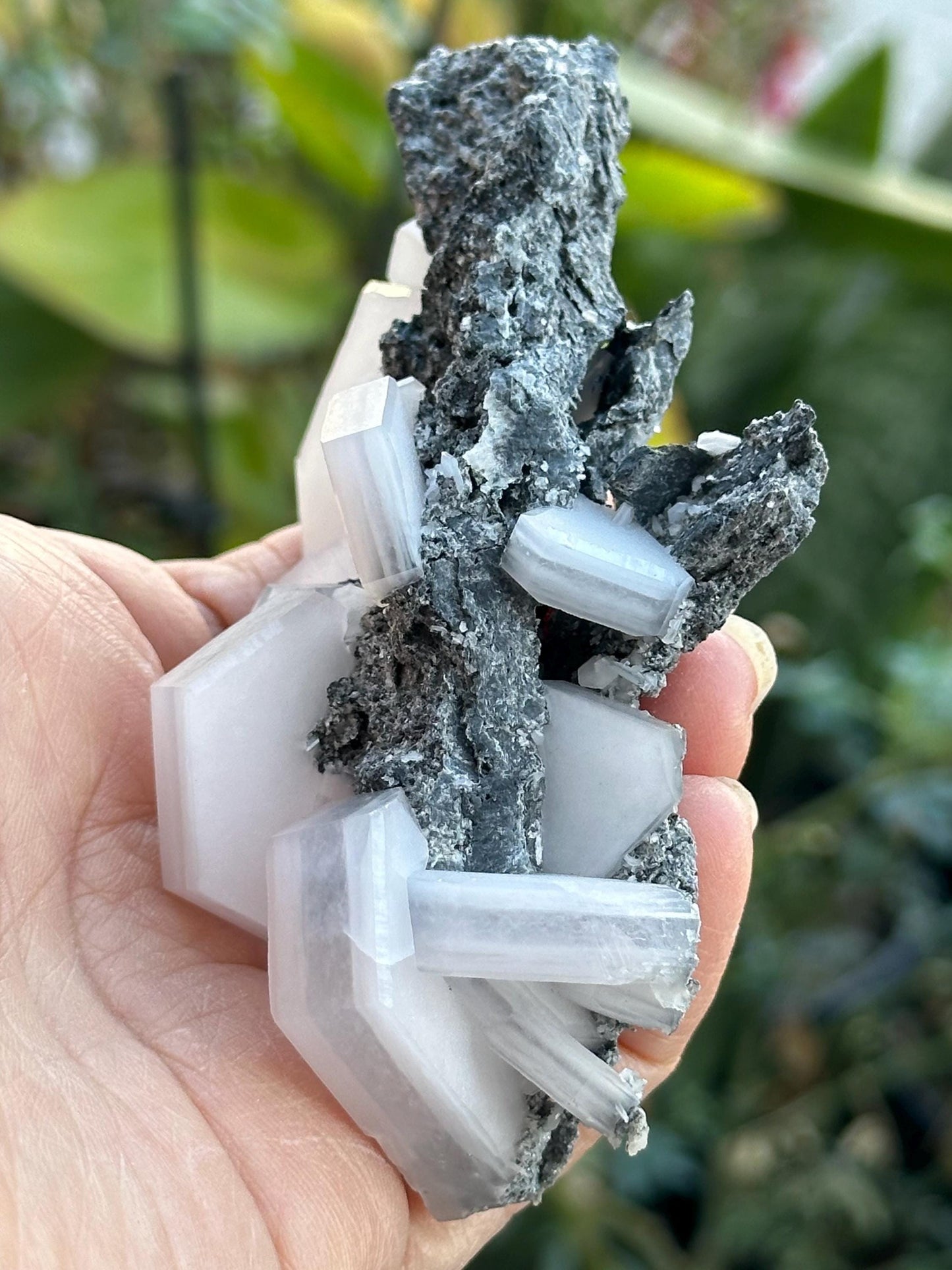 Sandwich Calcite