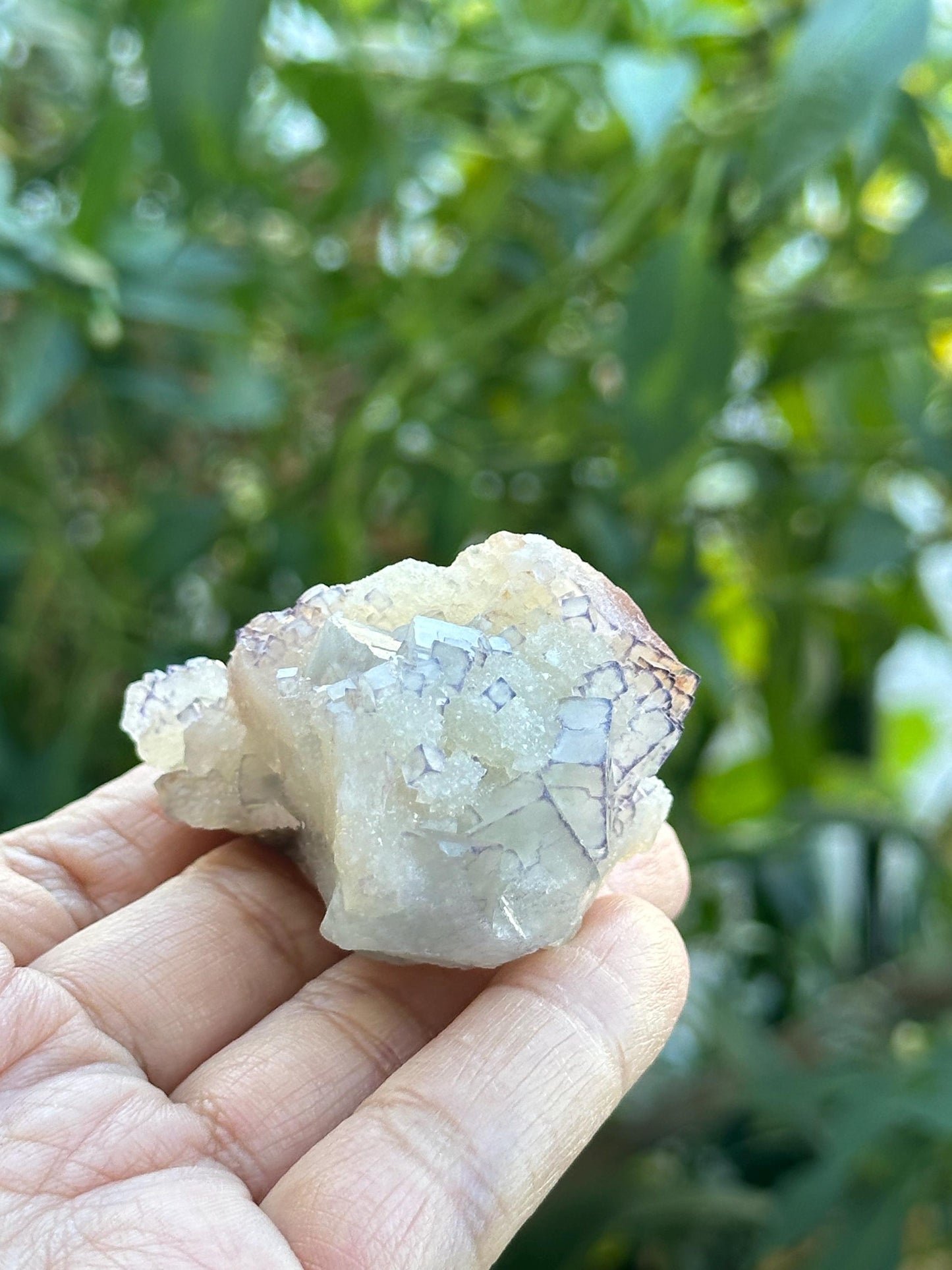 QR Code Fluorite
