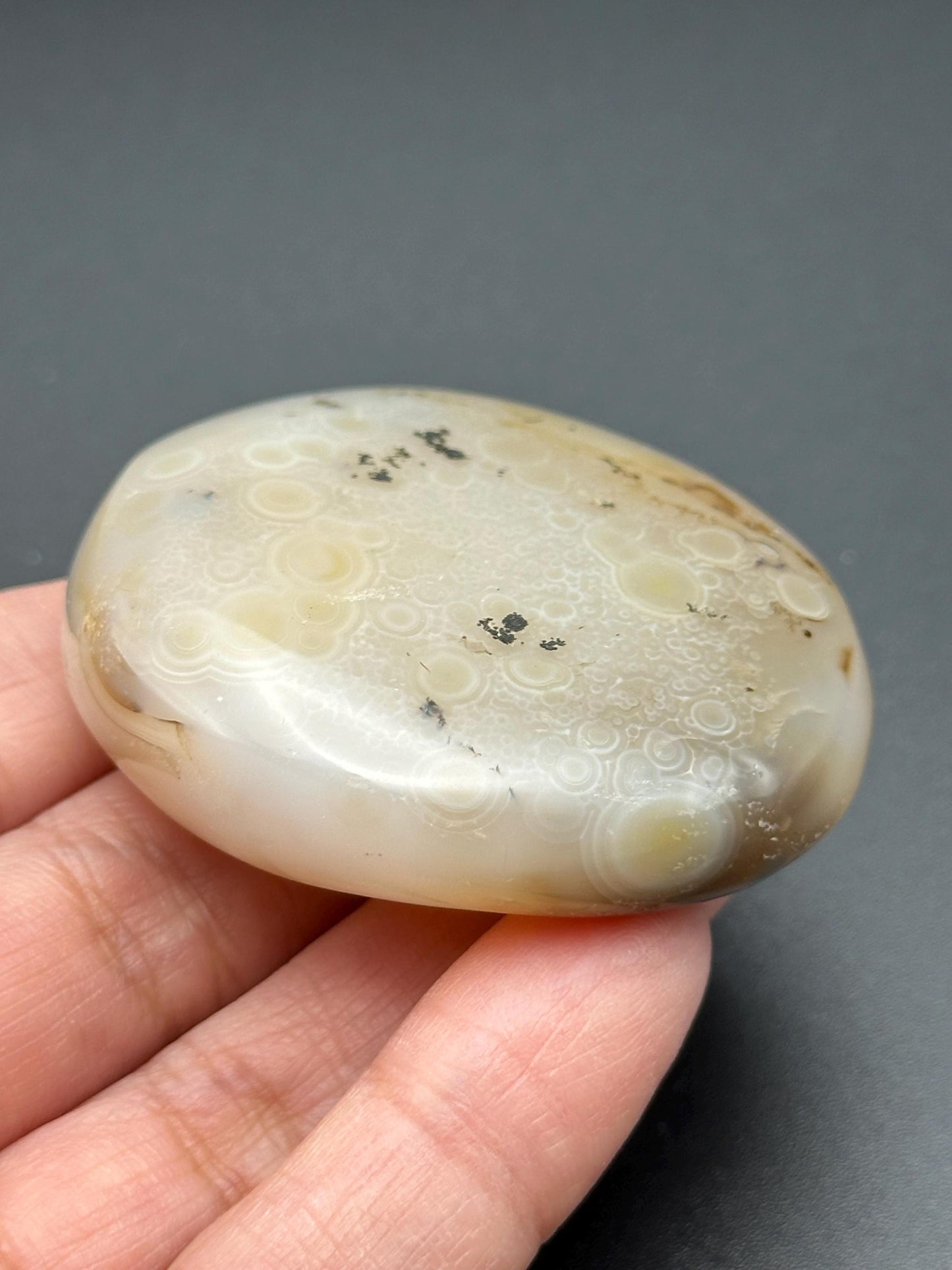 Dendritic Agate Palm Stone