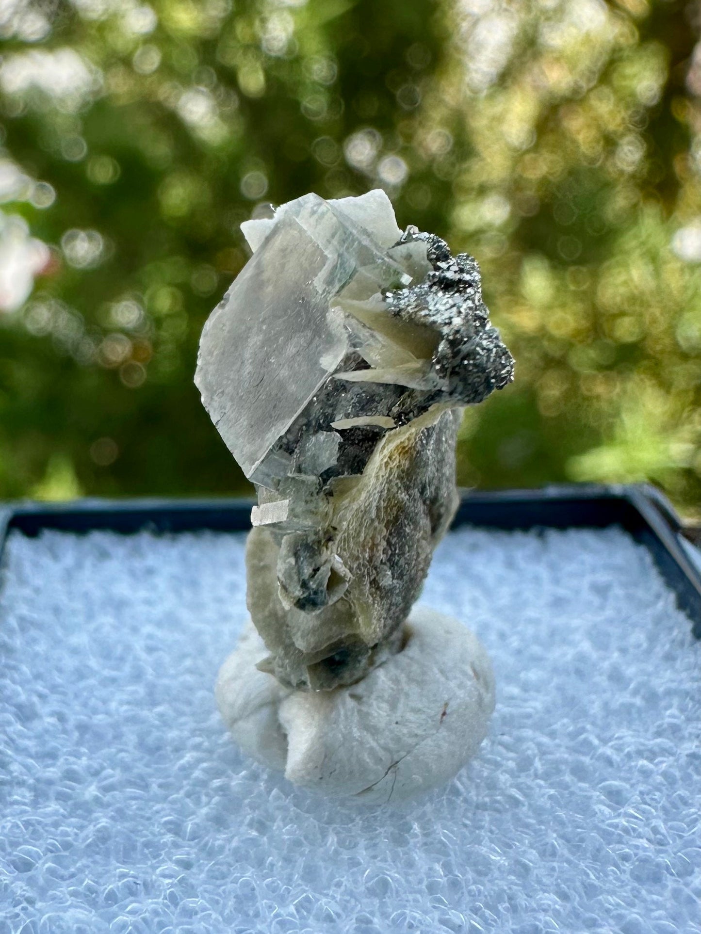 Fluorite from the Yindu Mine, Inner Mongolia, China