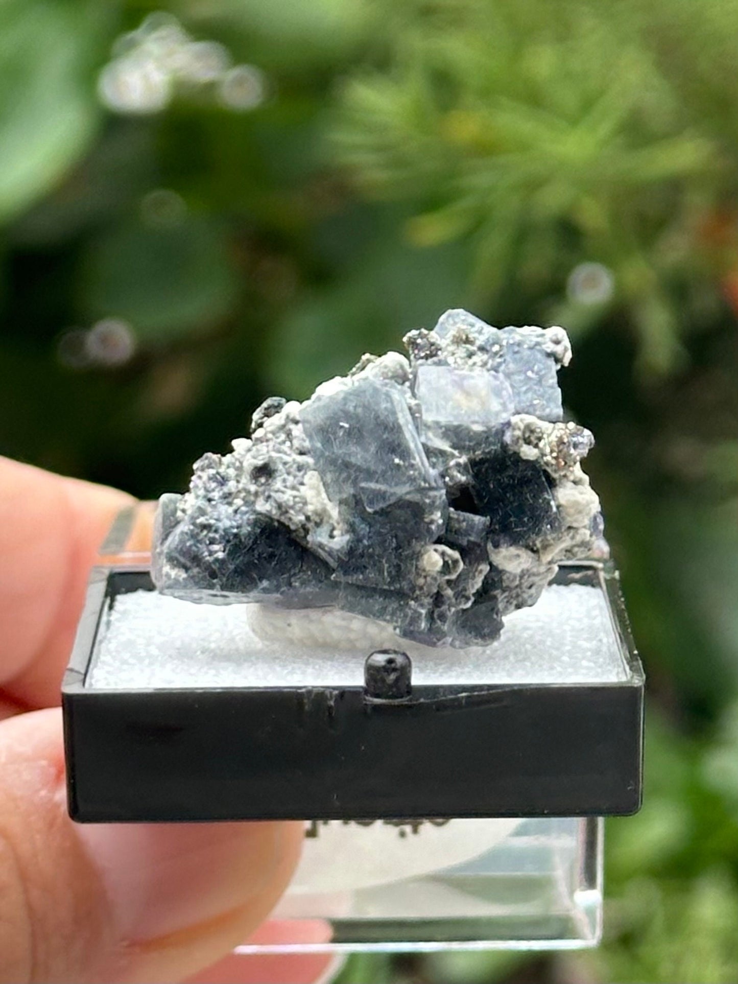 Fluorite with Pyrite Specimen in a perky box from the Yindu Mine, Inner Mongolia, China