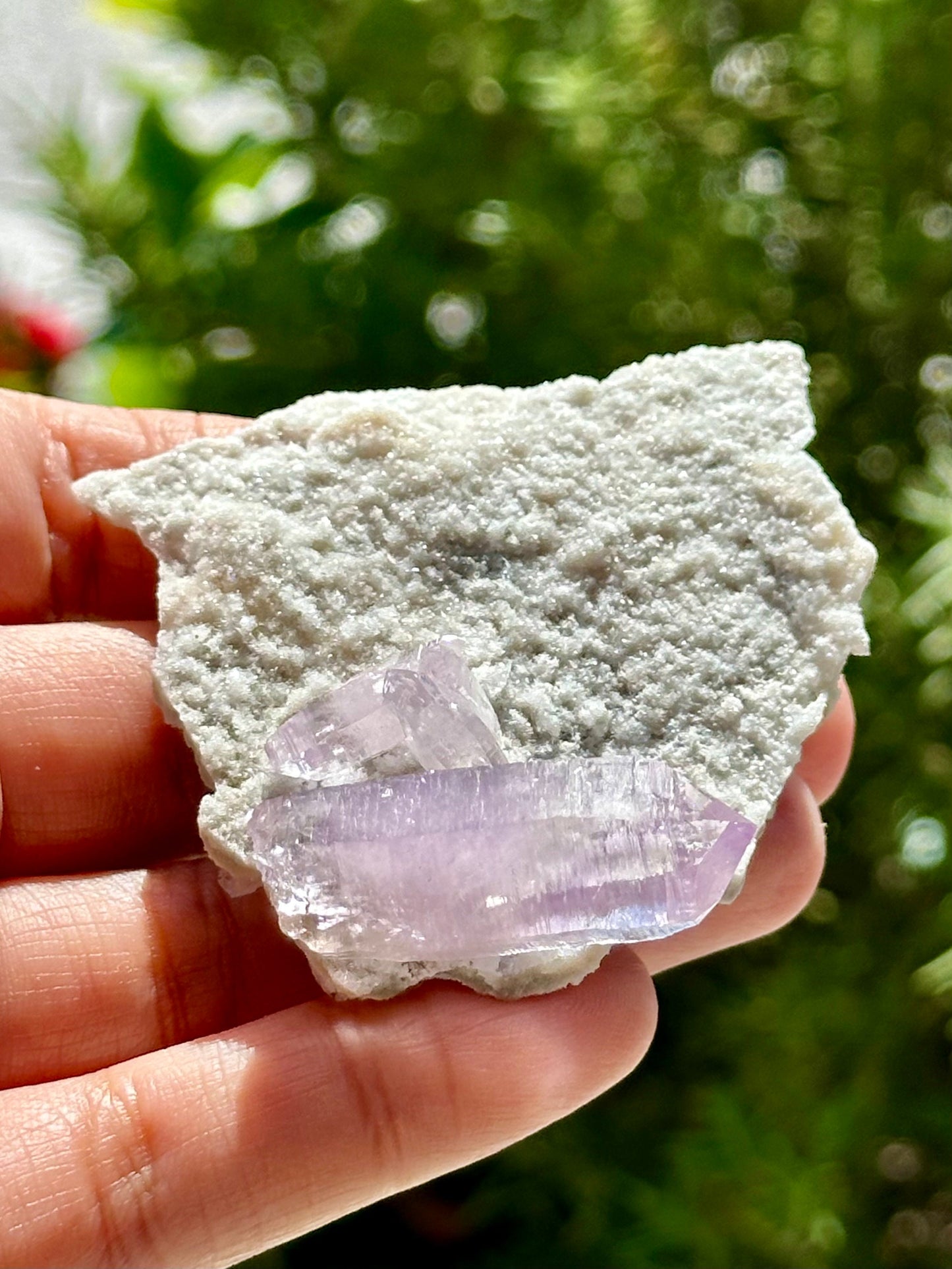 Veracruz Amethyst on Quartz Matrix