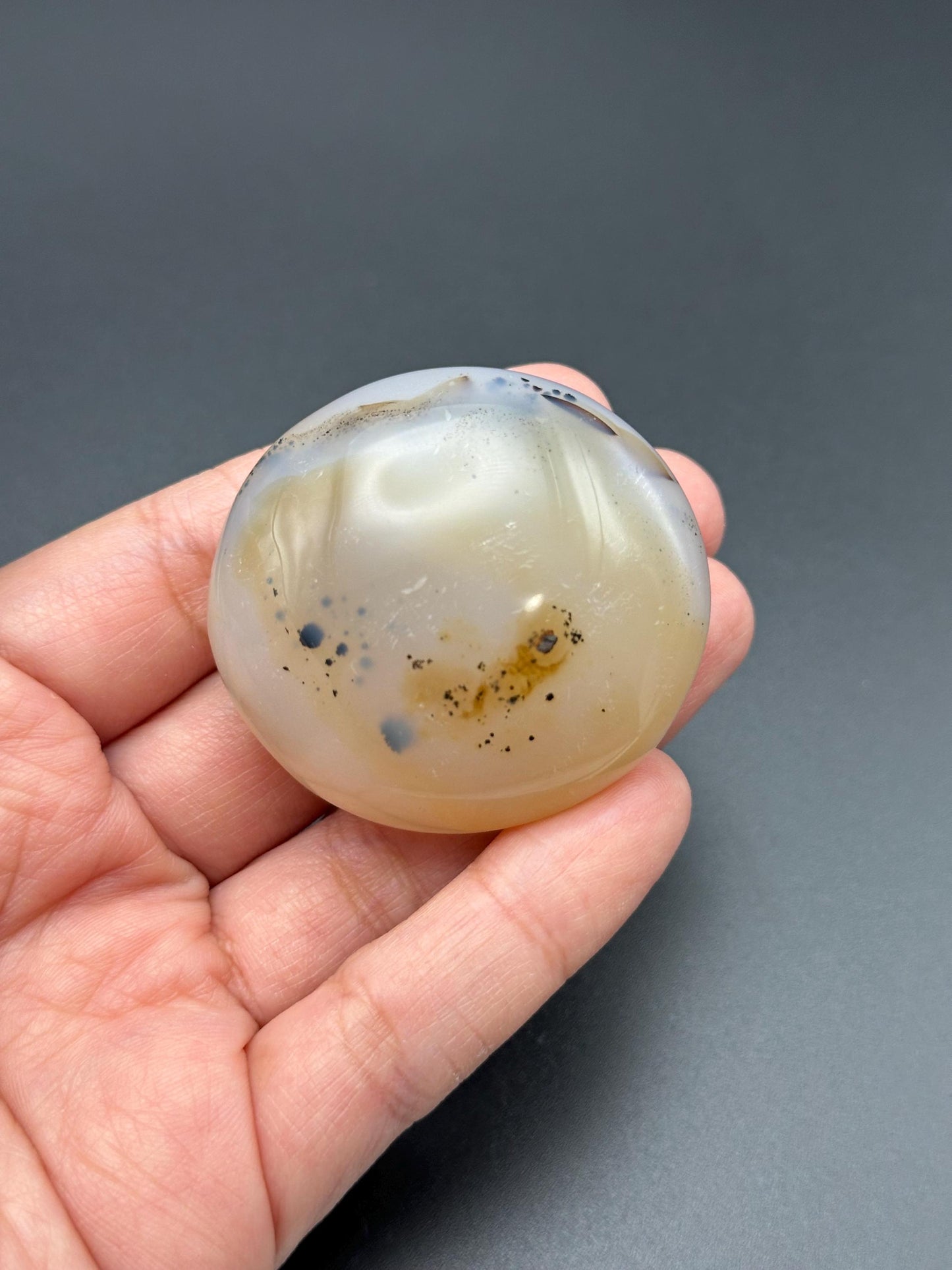 Dendritic Agate Palm Stone