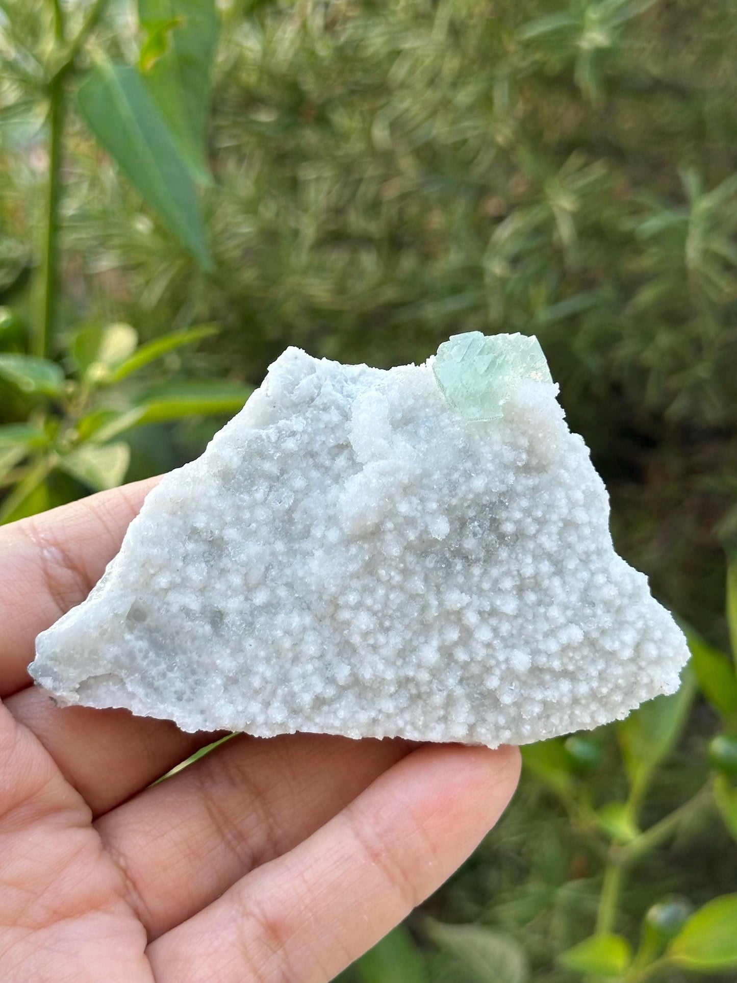 Fluorite, Calcite, and Quartz Specimen from Mexico
