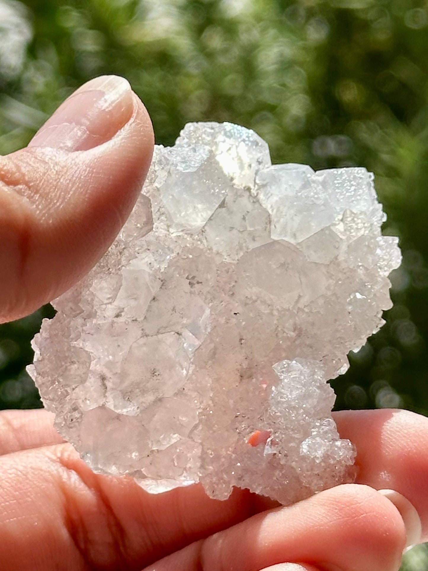 Double Sided Apophyllite from India