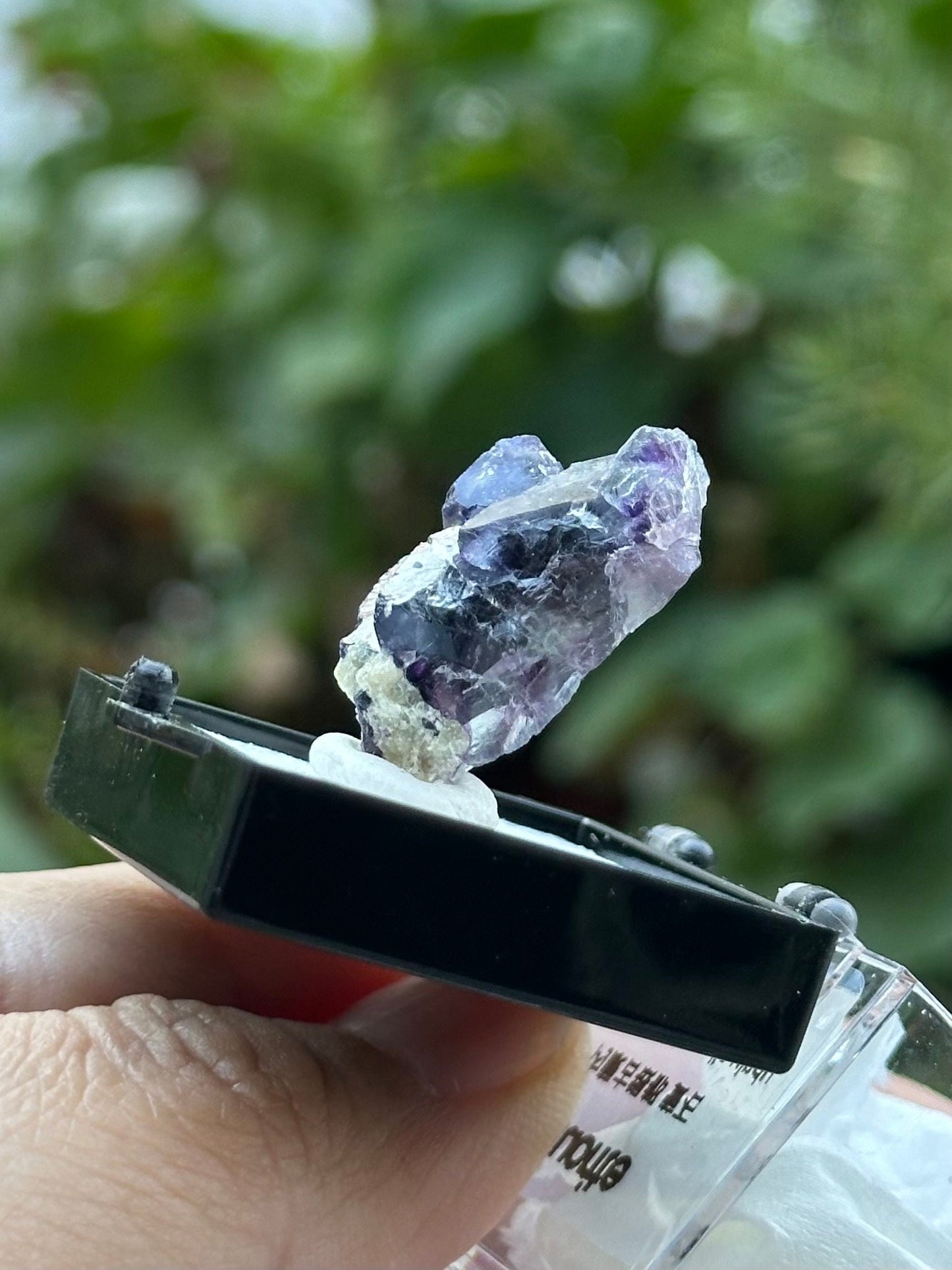 Fluorite Specimen in a perky box from the Yindu Mine, Inner Mongolia, China