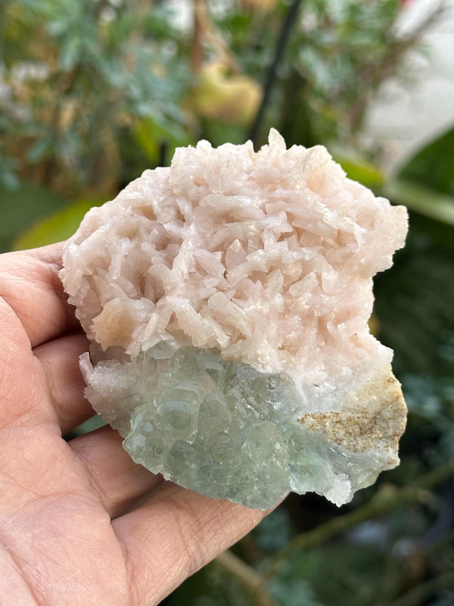 Manaoshan Fluorite with Dolomite