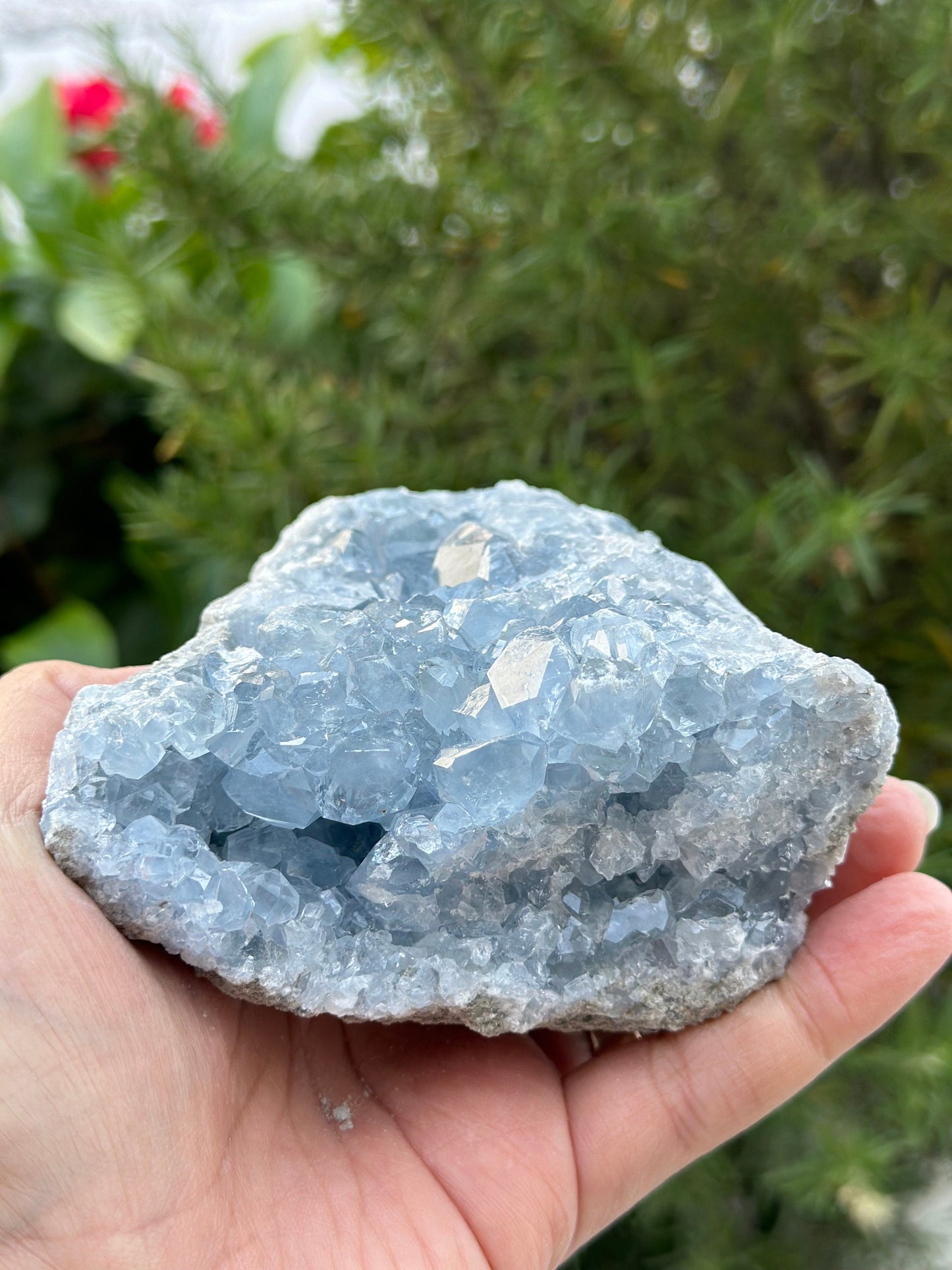 Celestite Cluster from Madagascar