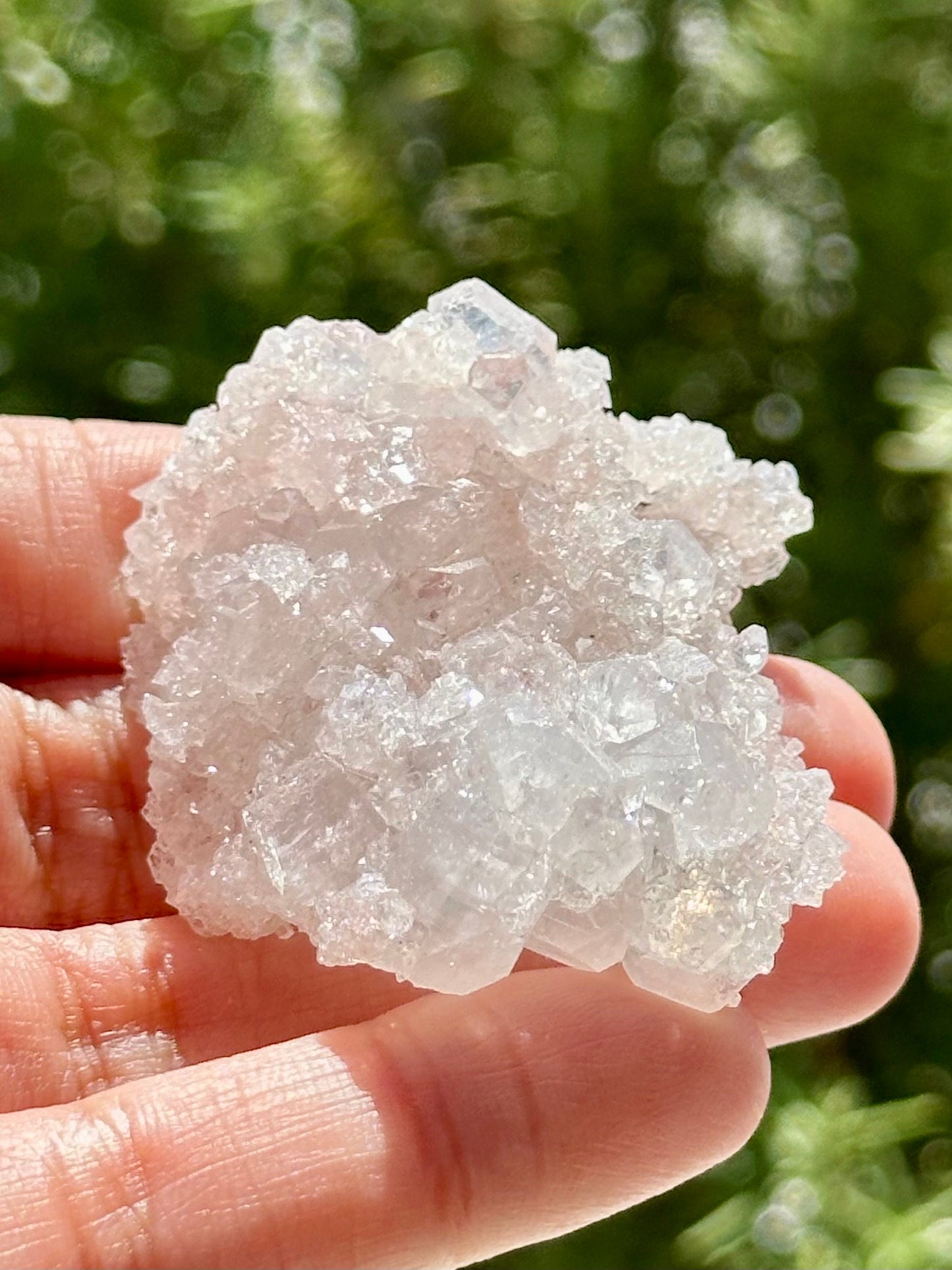 Double Sided Apophyllite from India