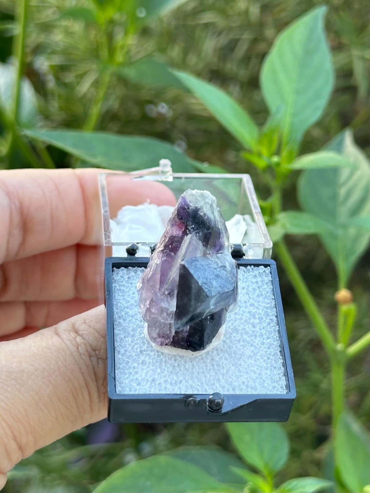 Fluorite from the Yindu Mine, Inner Mongolia, China