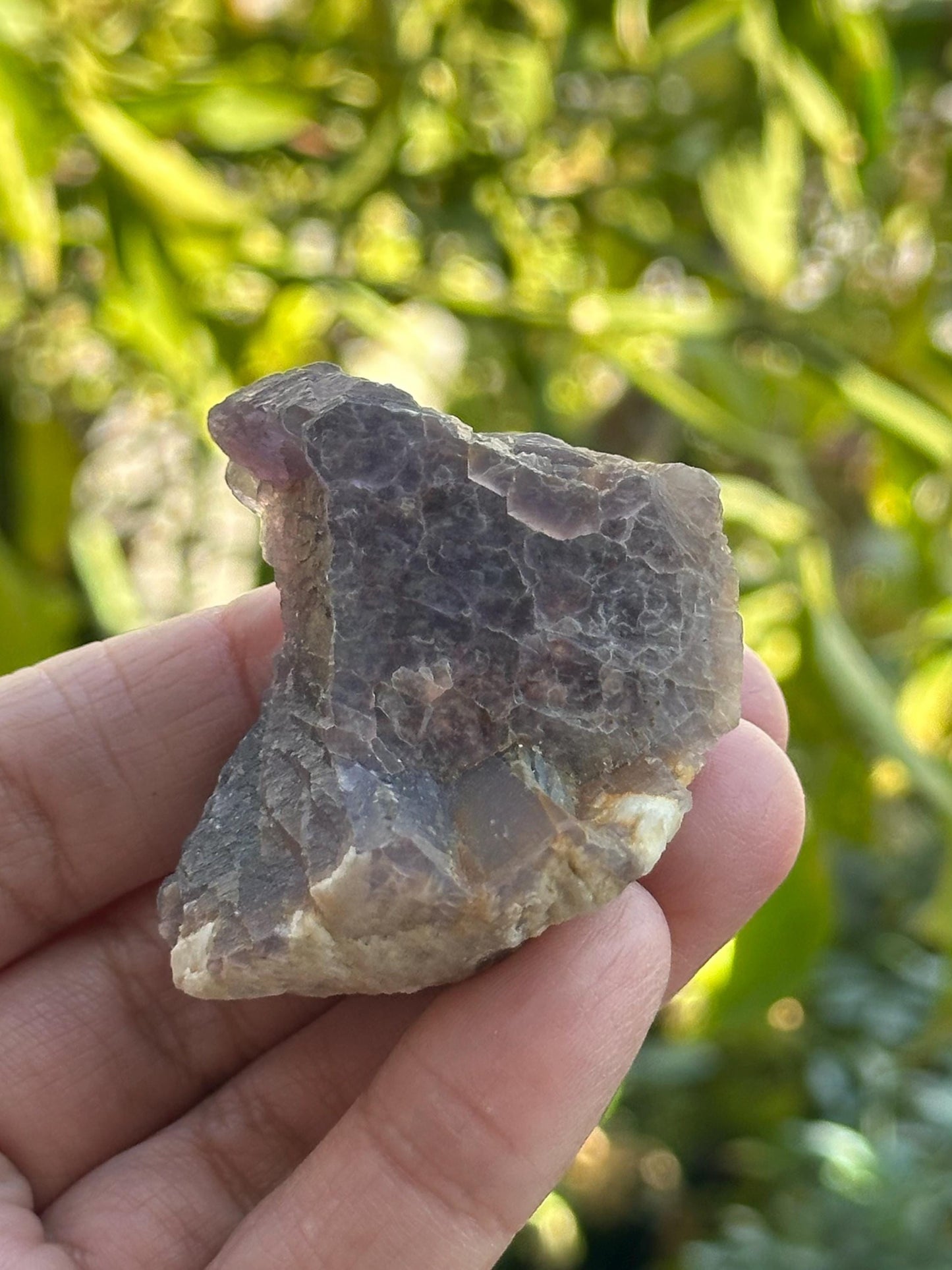 Raw Lepidolite