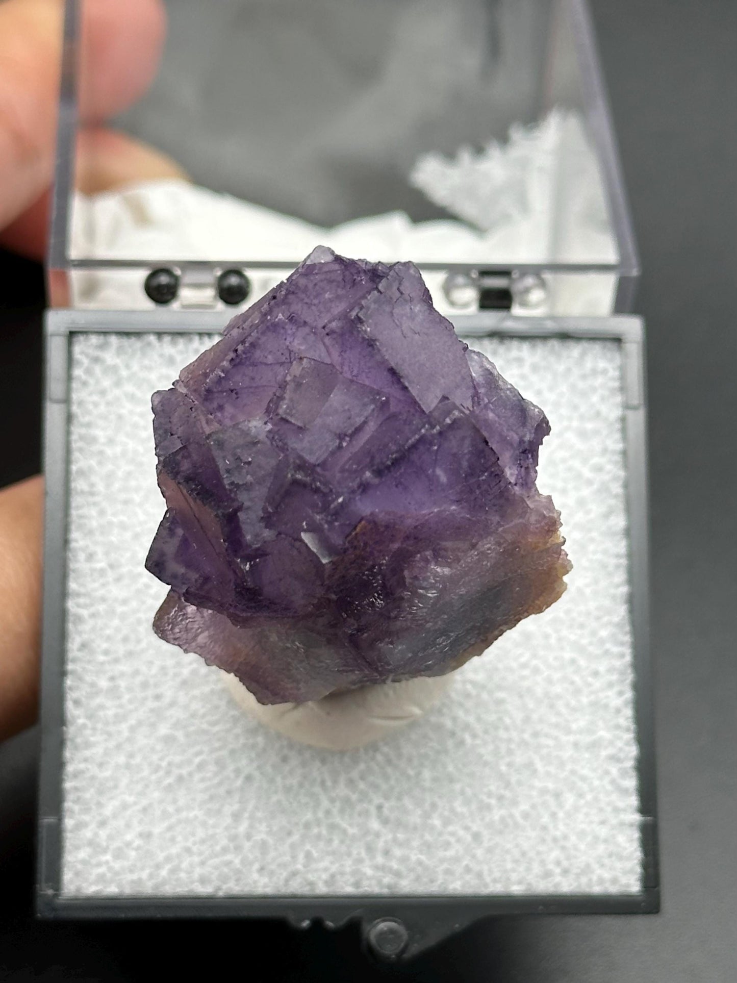 Fluorite Specimen in a perky box from Quinlong Mine, Guizhou, China