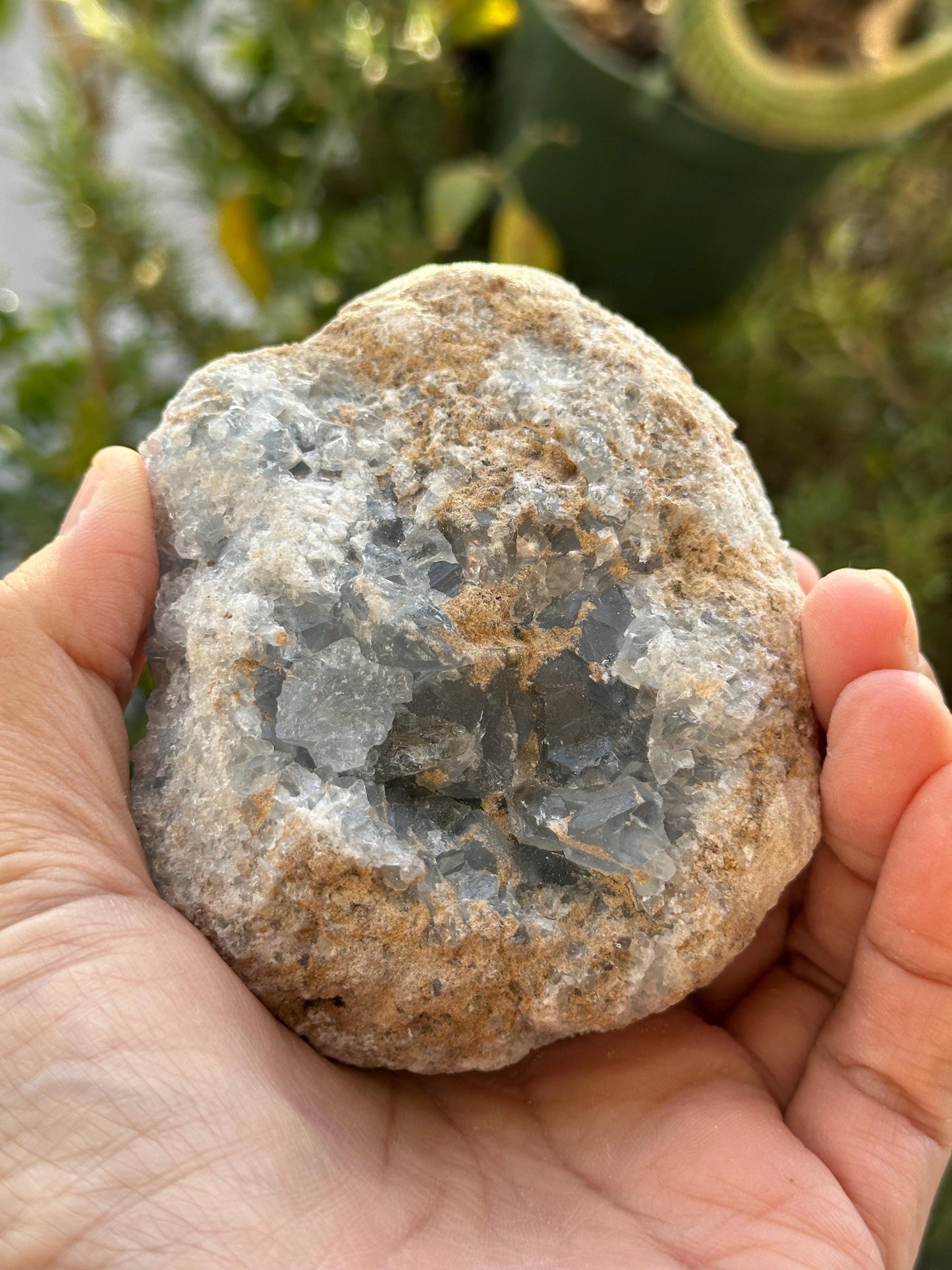 Celestite Cluster
