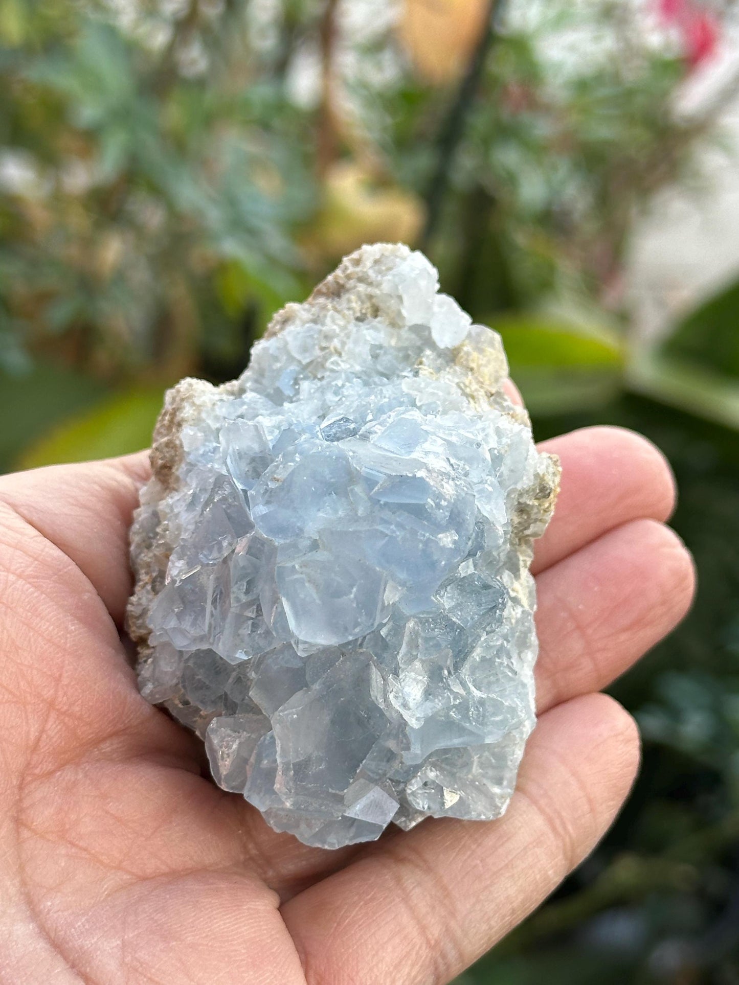 Celestite Cluster