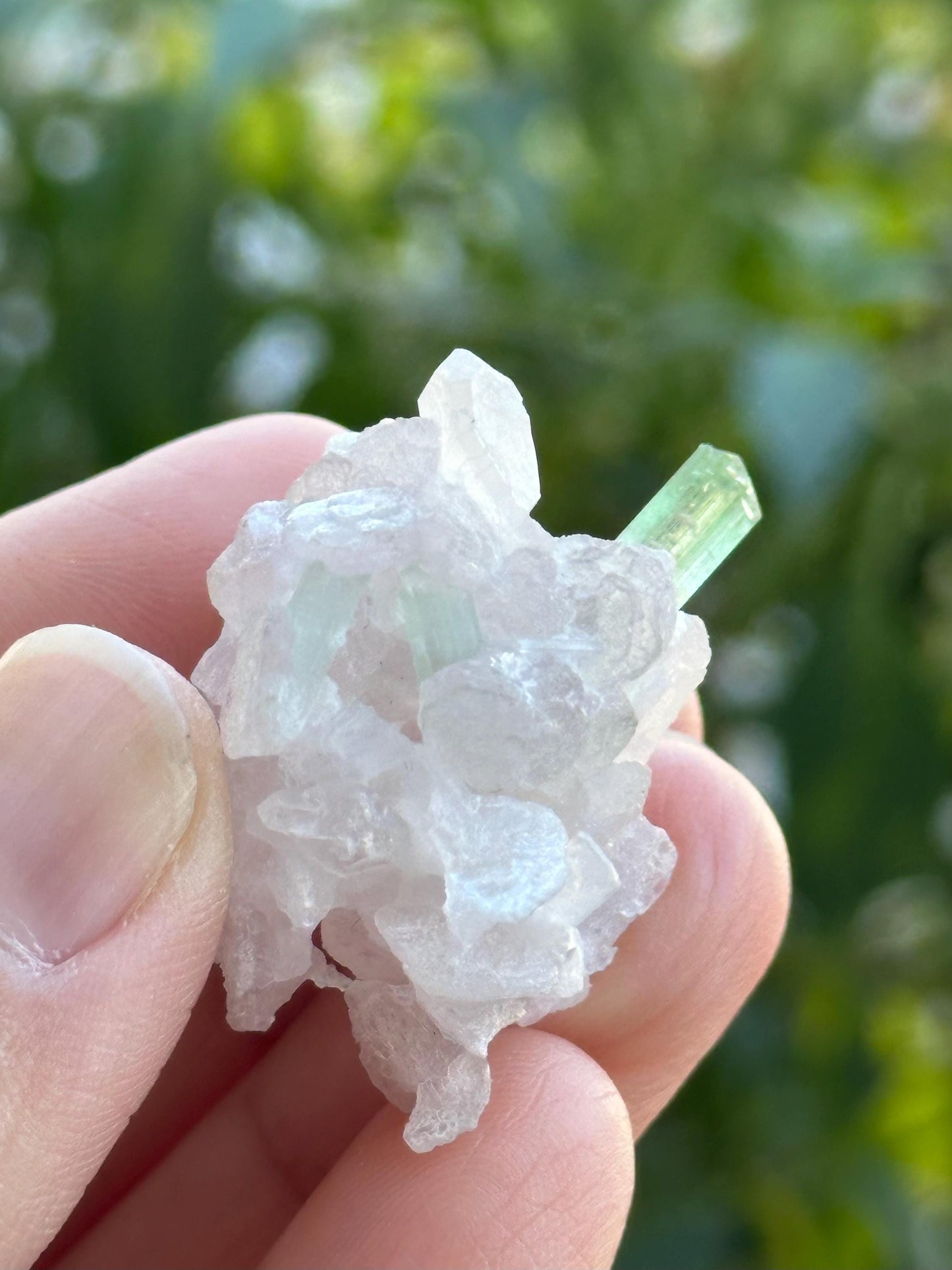 Green Tourmaline on Quartz with Lepidolite