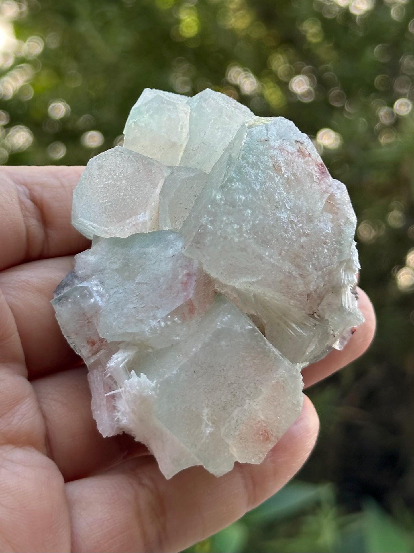 Apophyllite Specimen from India