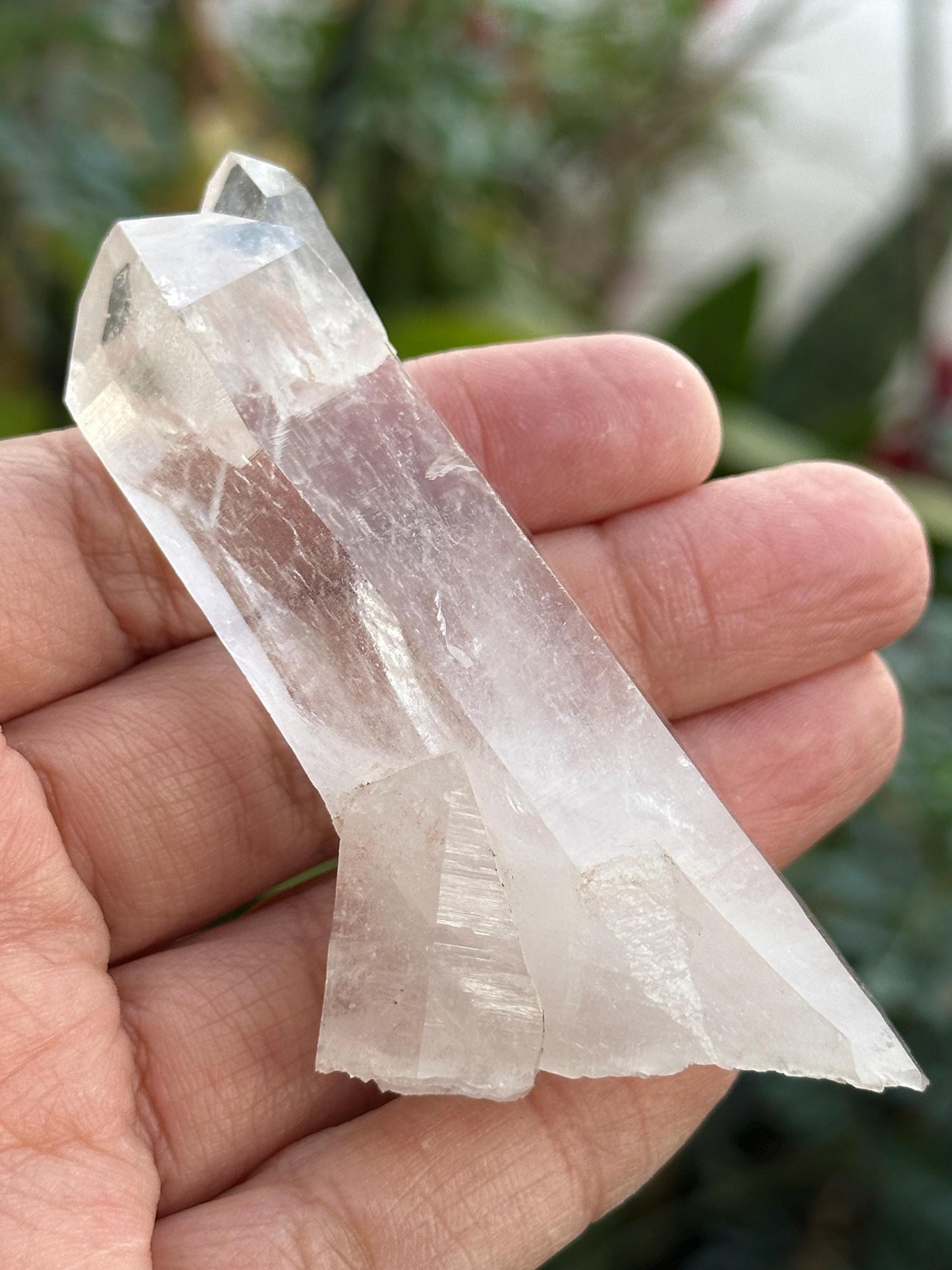 Lemurian Quartz