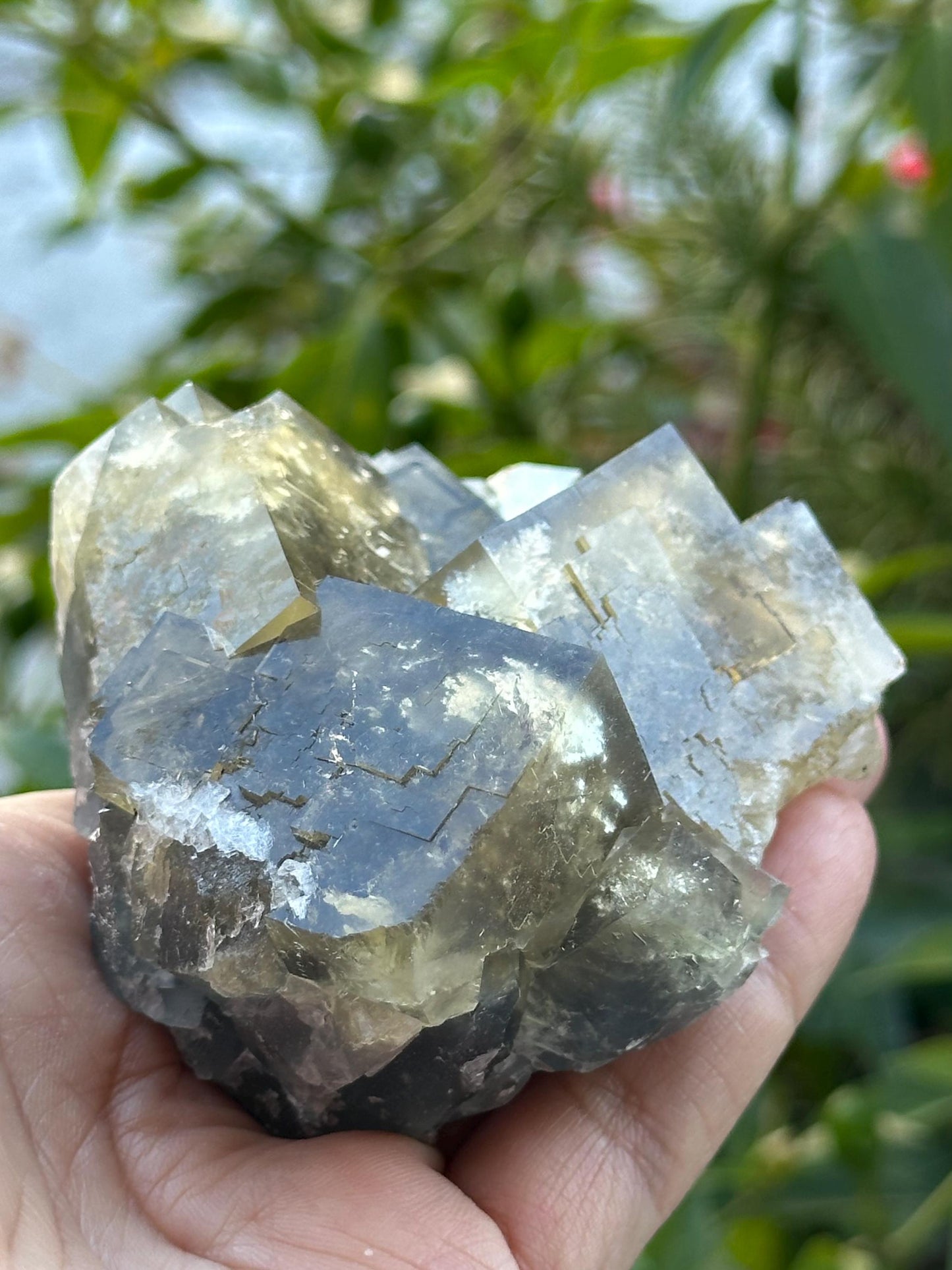 Yellow and Blue Fluorite from Beijing