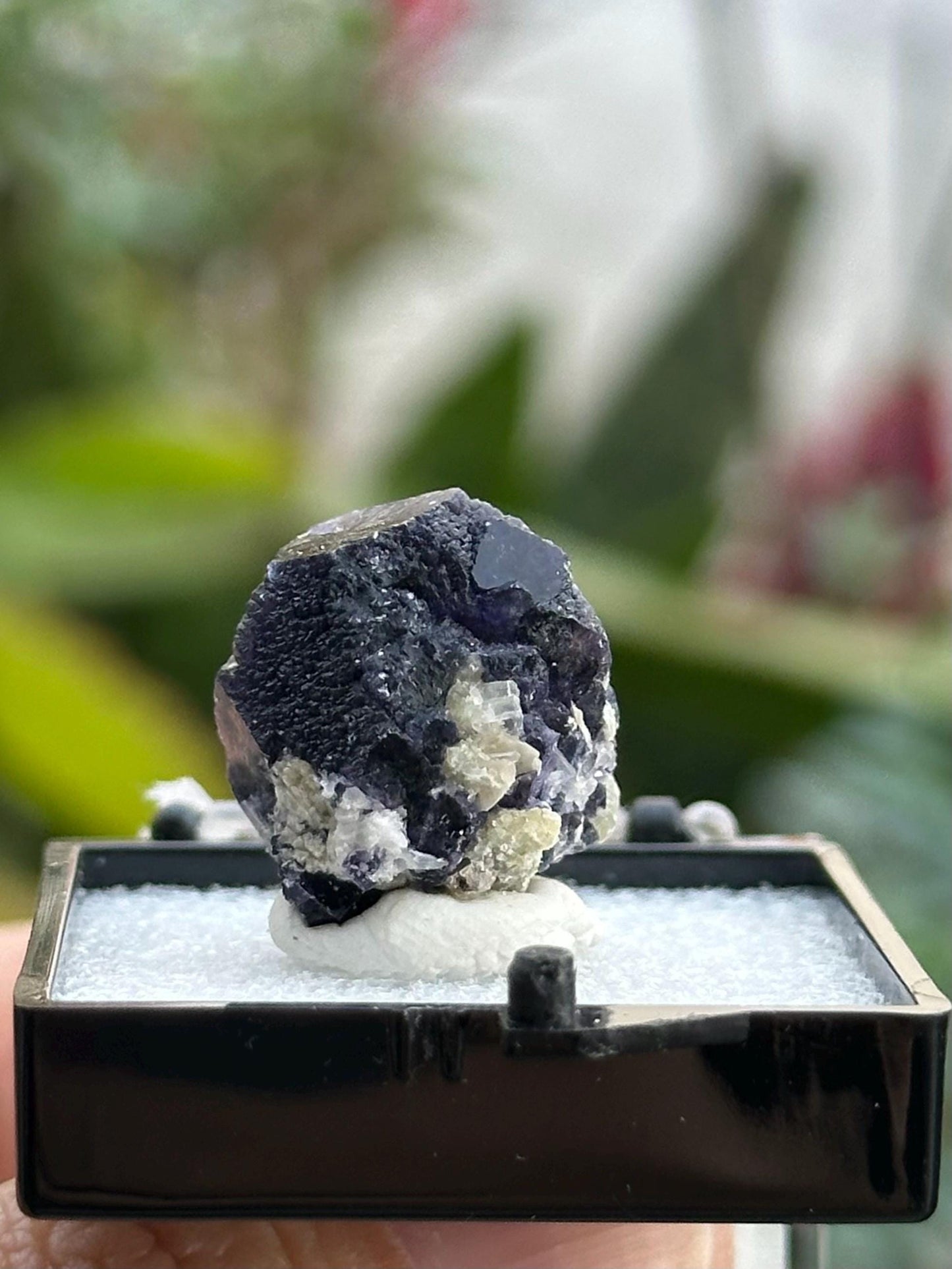 Yindu Fluorite from the Yindu Mine, Inner Mongolia, China