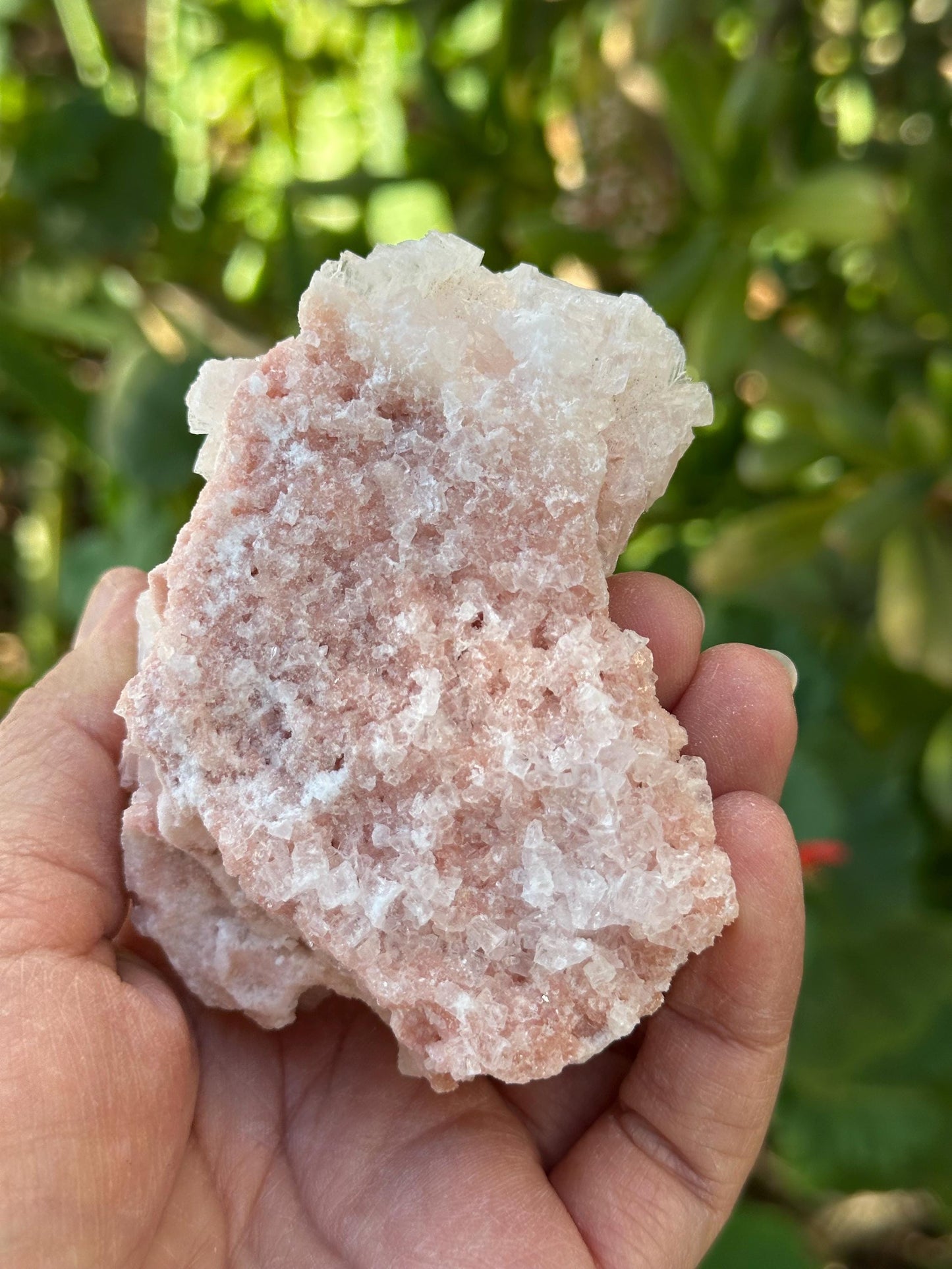Light Pink Halite on Trona