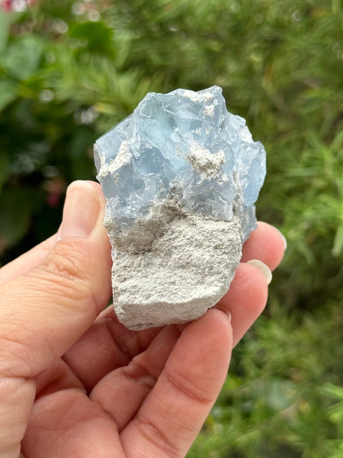 Celestite Cluster from Madagascar