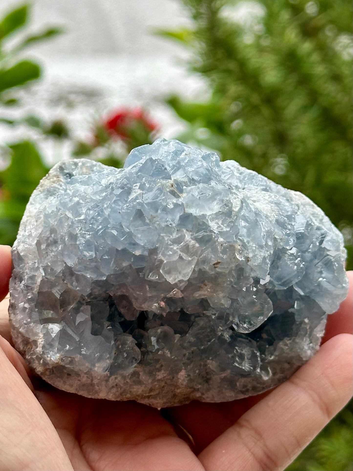 Celestite Cluster from Madagascar