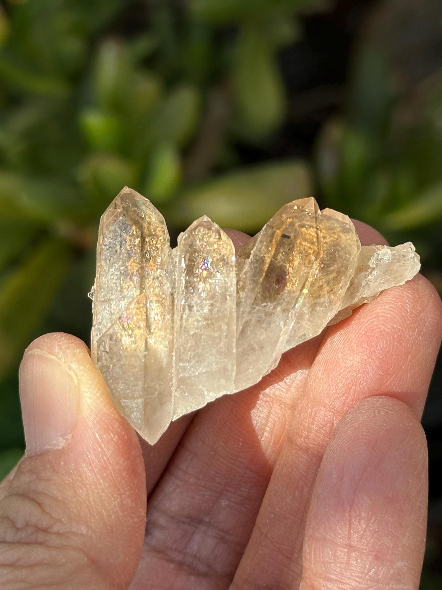 Smoky Quartz