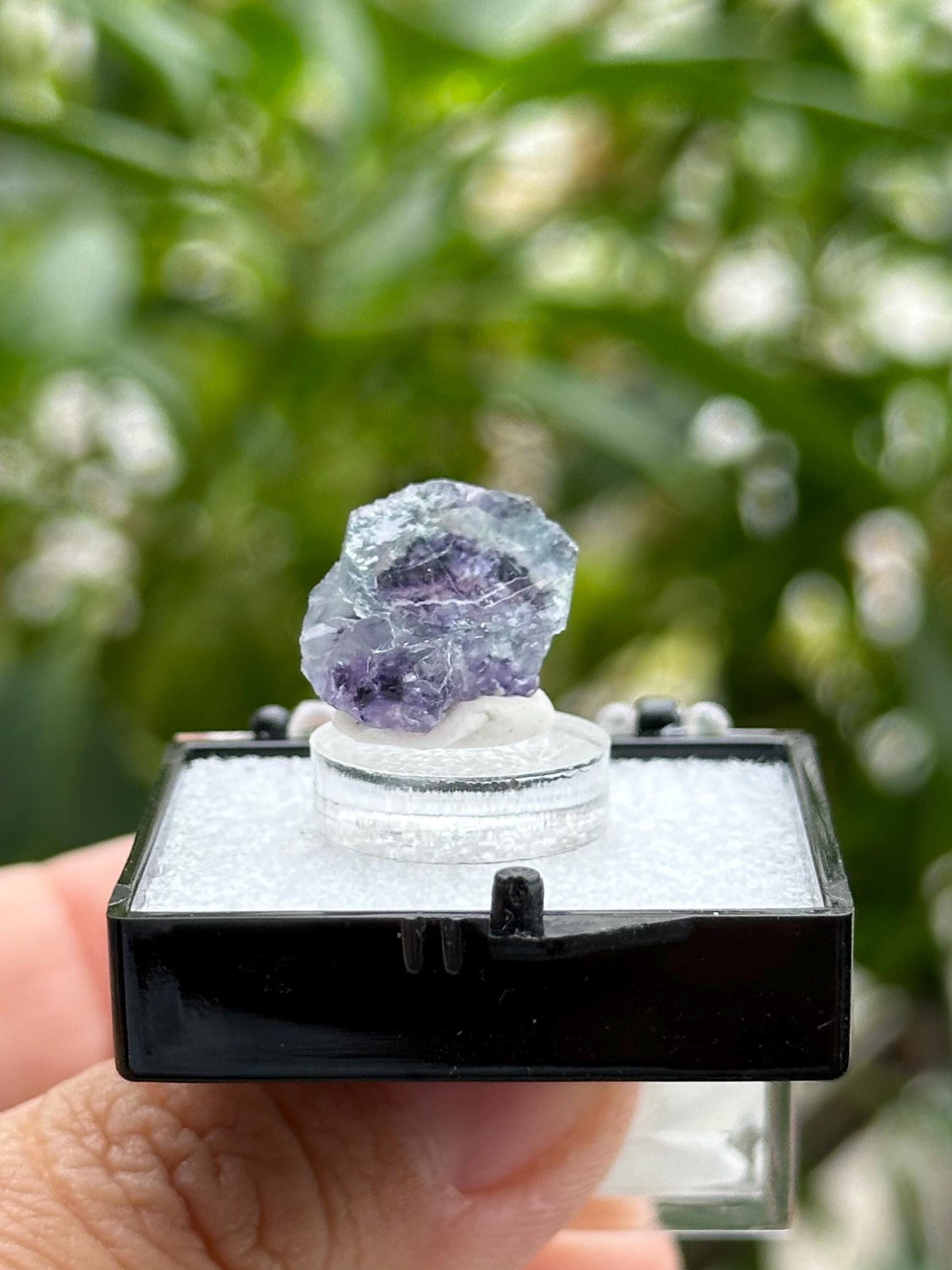 Yindu Fluorite