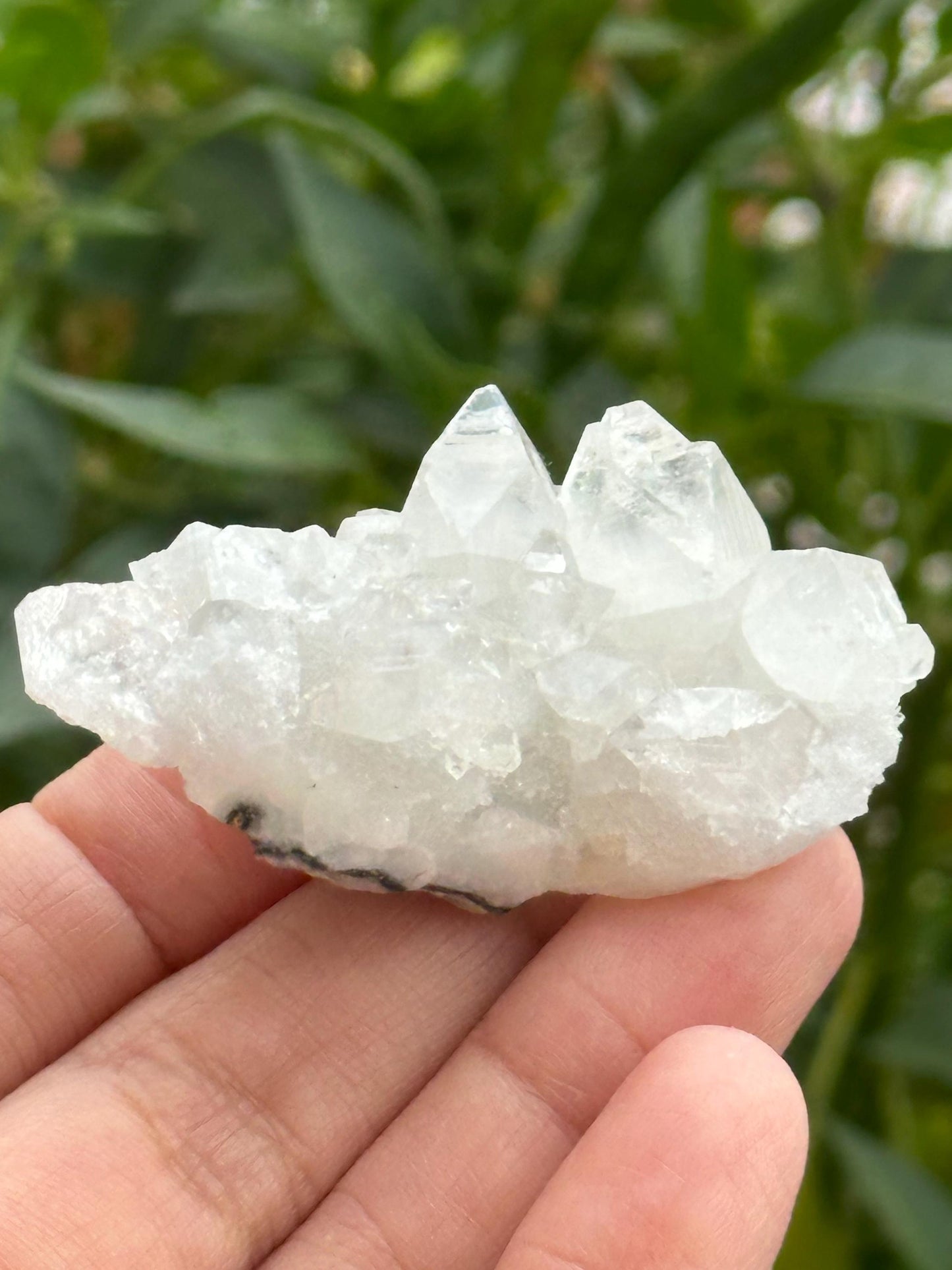 Apophyllite from India