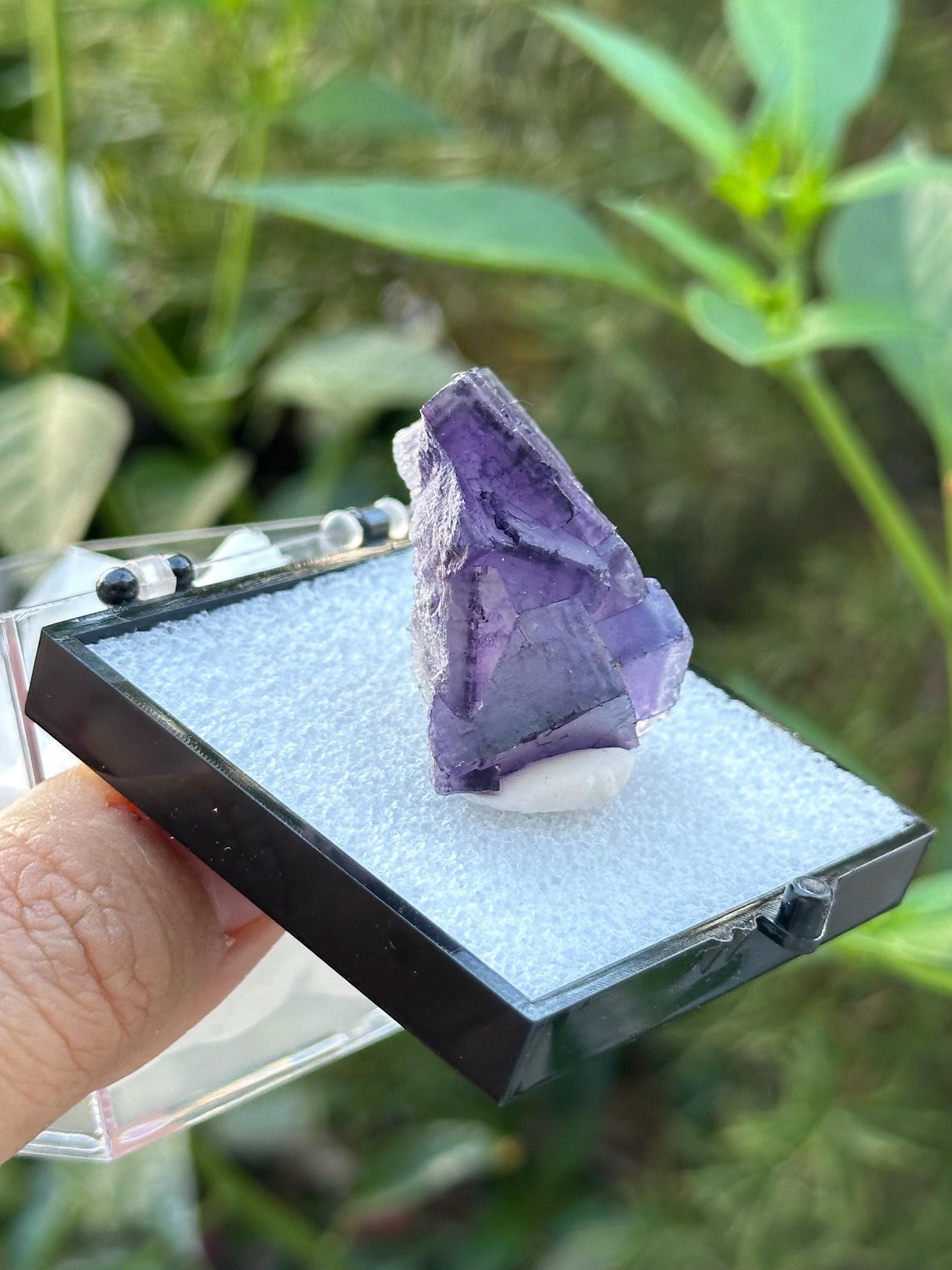 QR Code Fluorite from the Quinlong Mine, Guizhou, China