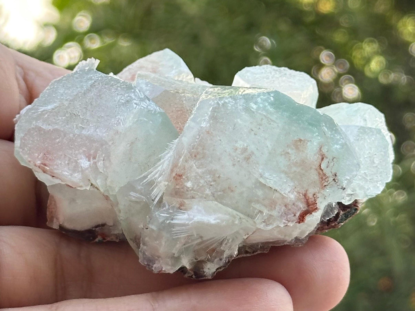 Apophyllite Specimen from India