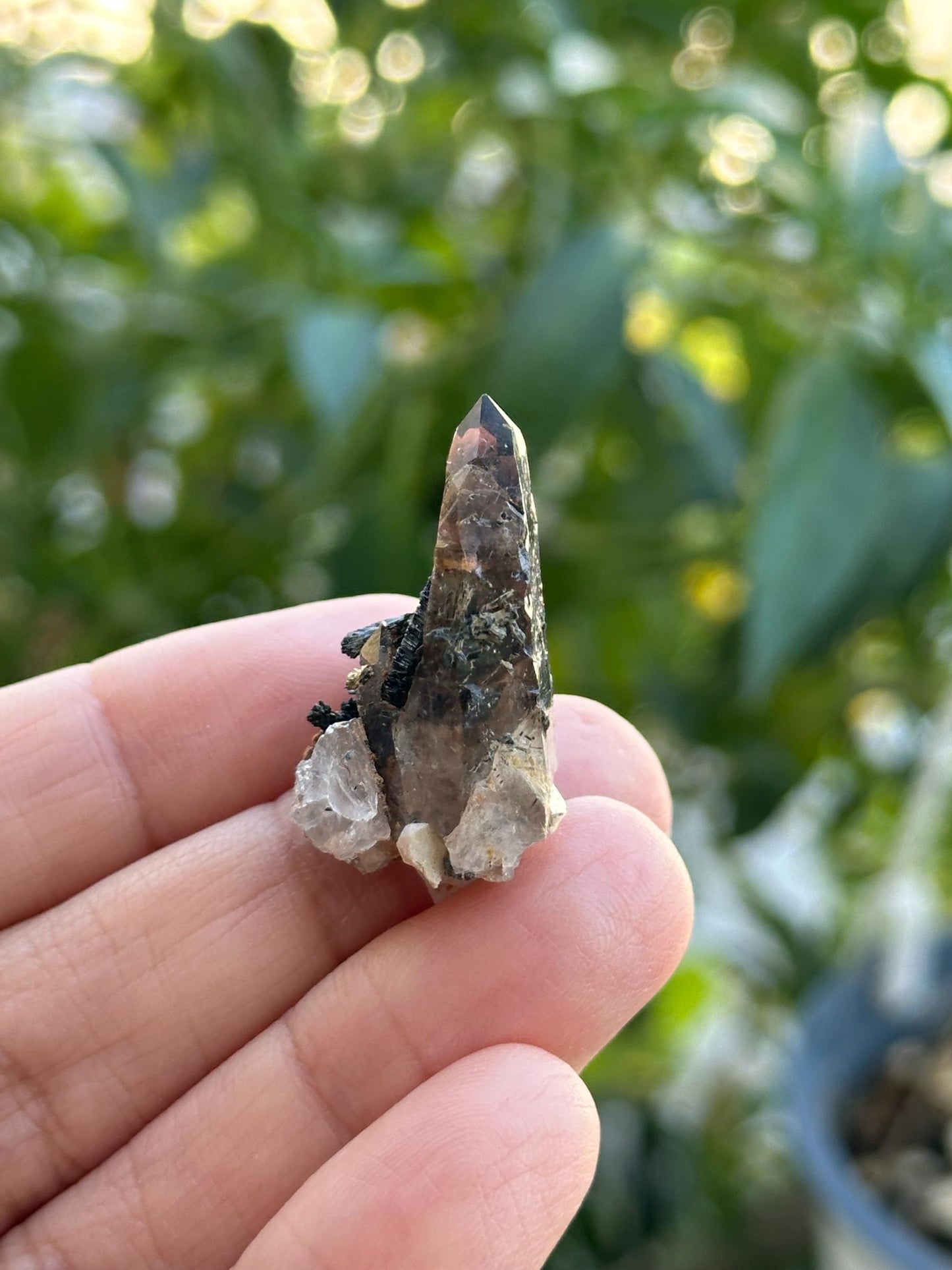 Smoky Quartz with Aegirine from Malawi