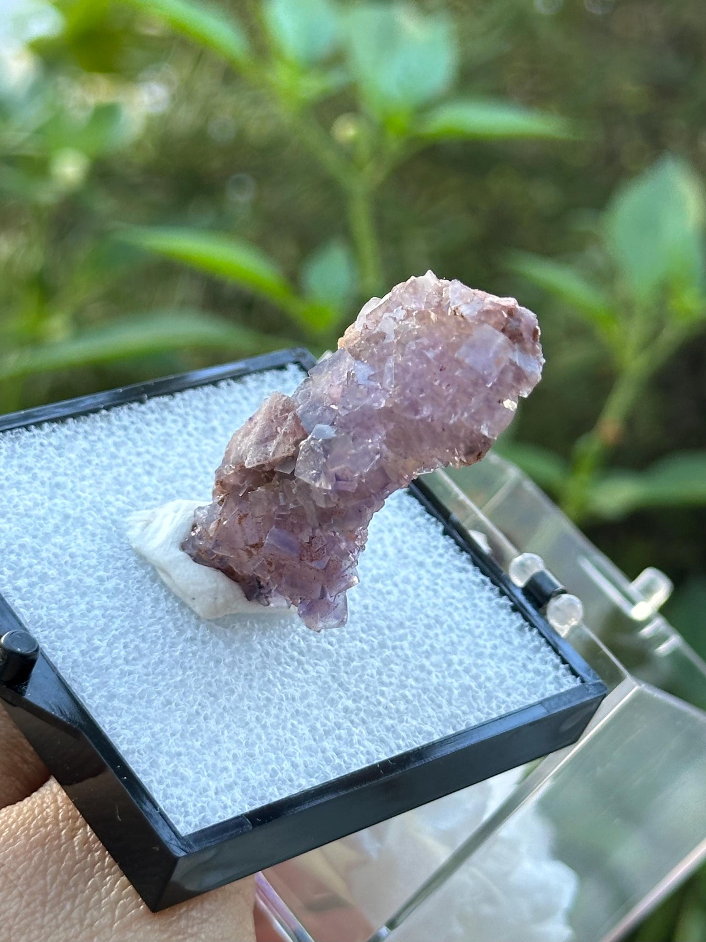 QR Code Fluorite in a perky box from the Quinlong Mine