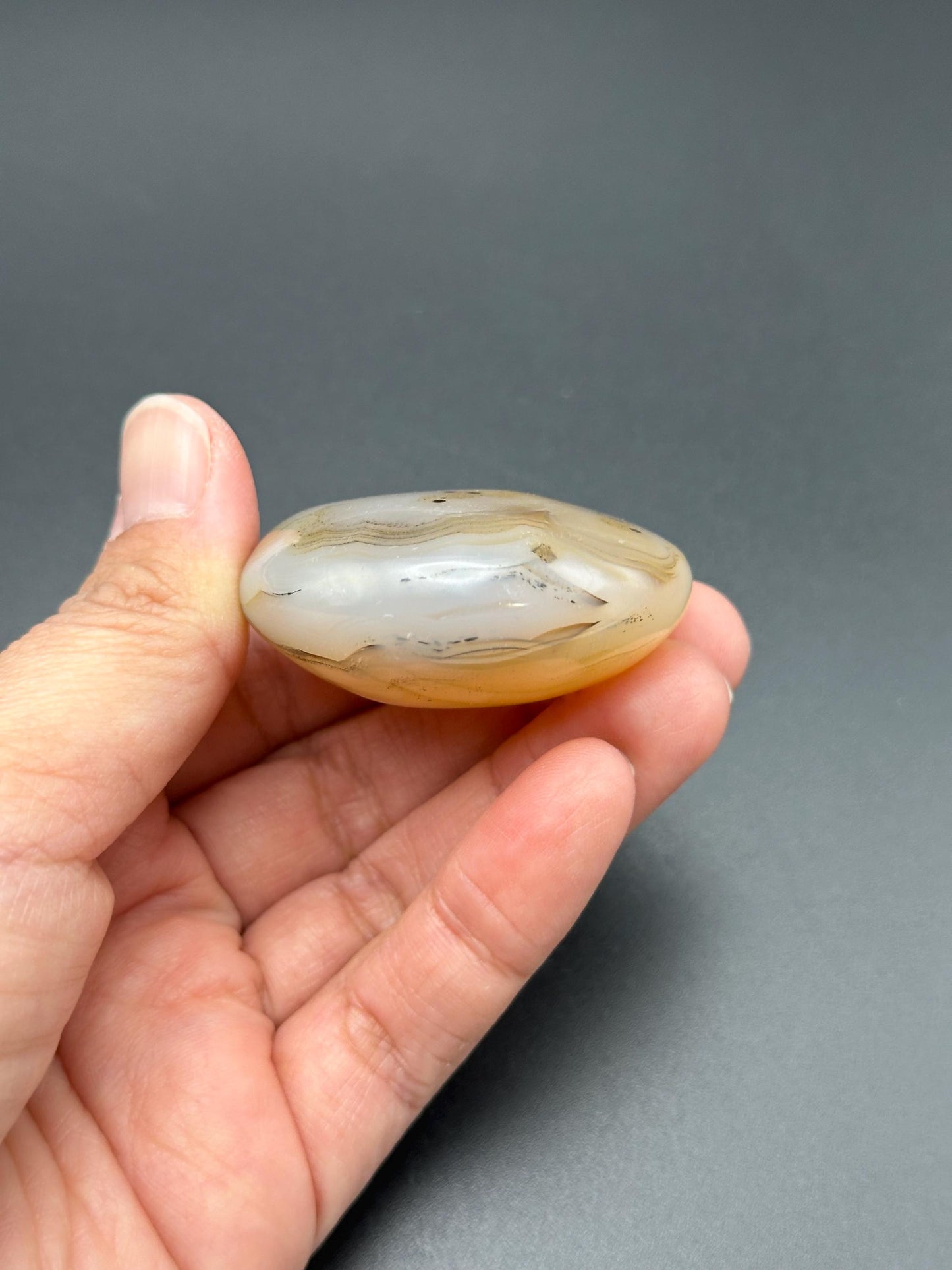 Dendritic Agate Palm Stone